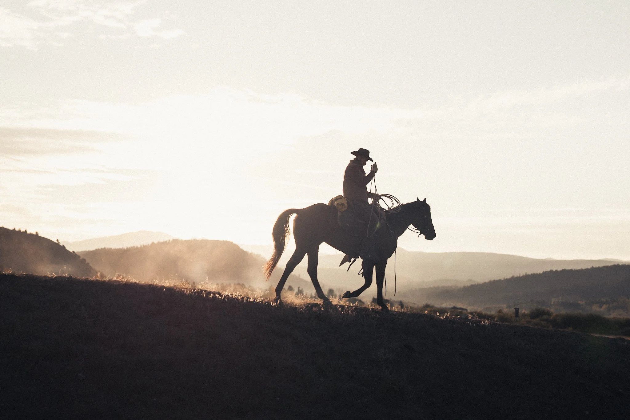 Lone rider
