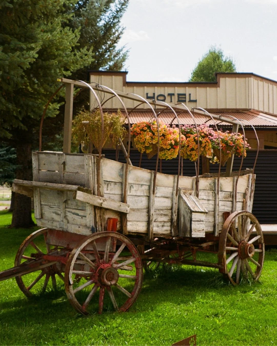Every wagon has a story. This one may not be hauling freight through the San Juans anymore, but it still carries the spirit of the Old West right here at Hotel Palomino. A nod to Ridgway&rsquo;s ranching roots, it&rsquo;s now filled with blooms inste