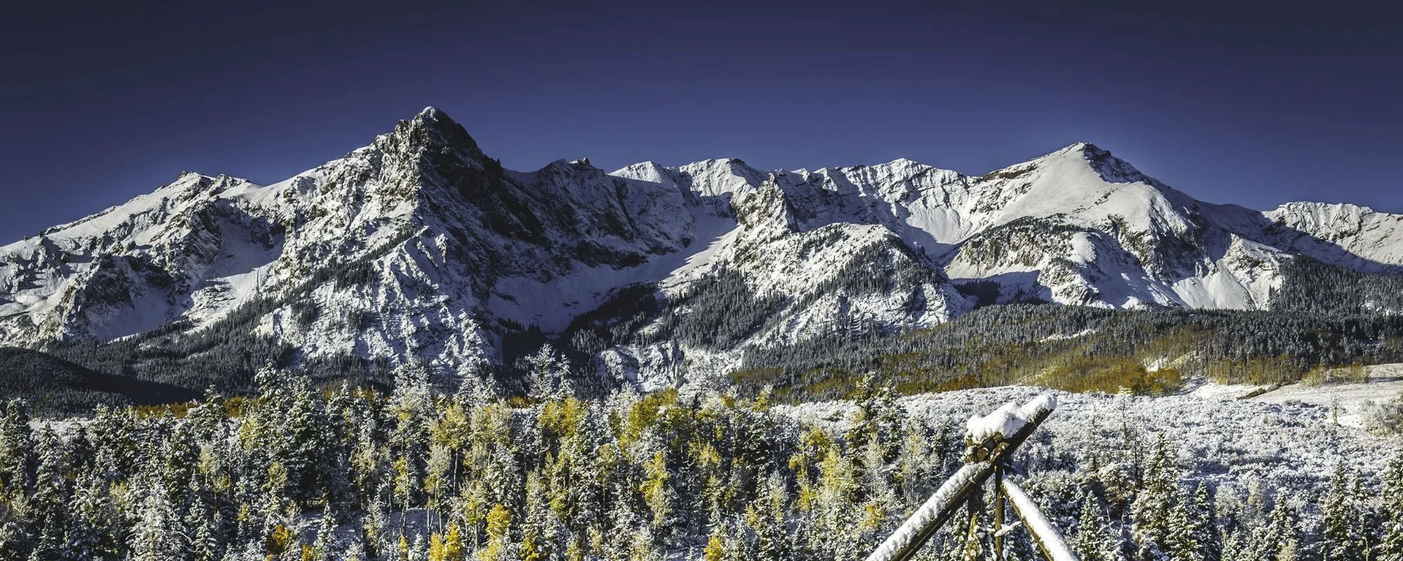 Unwrap a Peaceful Christmas and Ring in the New Year at Hotel Palomino