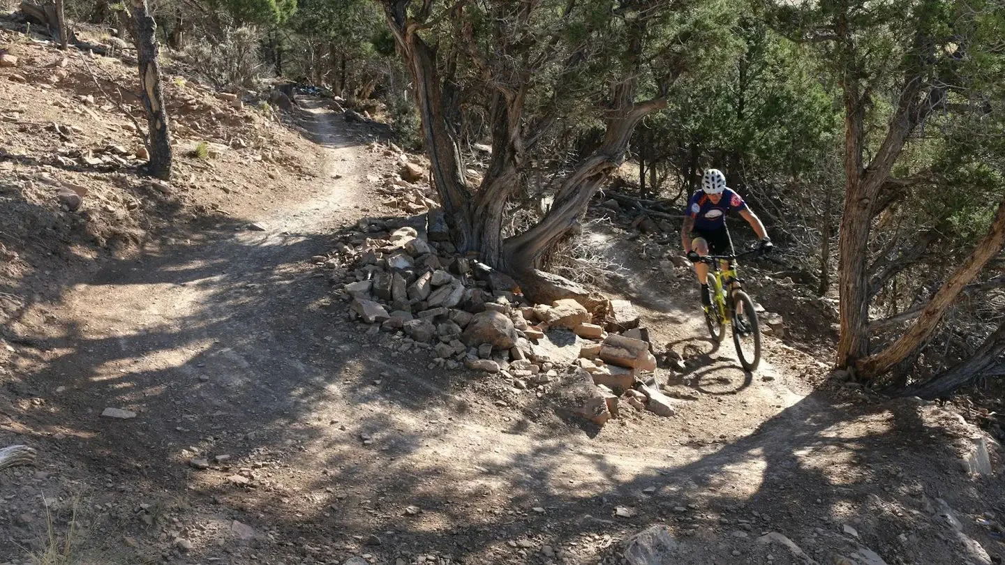 Rider on wooded trail: Mountain biker riding singletrack in Ridgway, Colorado.
