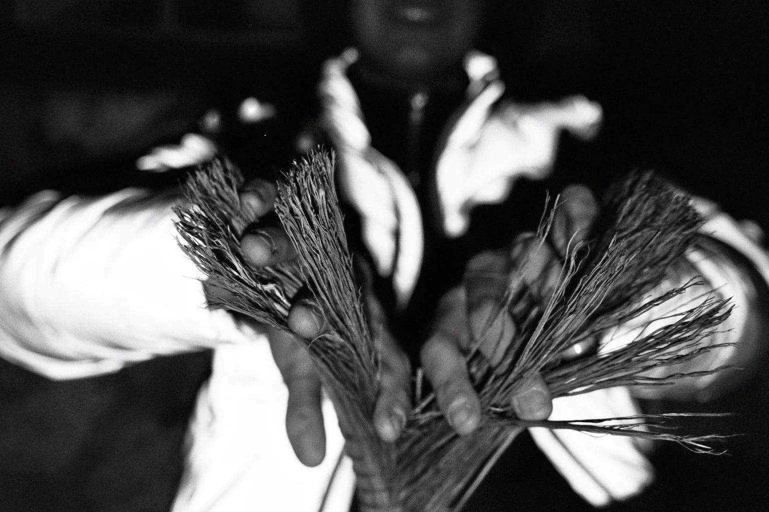 imm021_25A.jpg