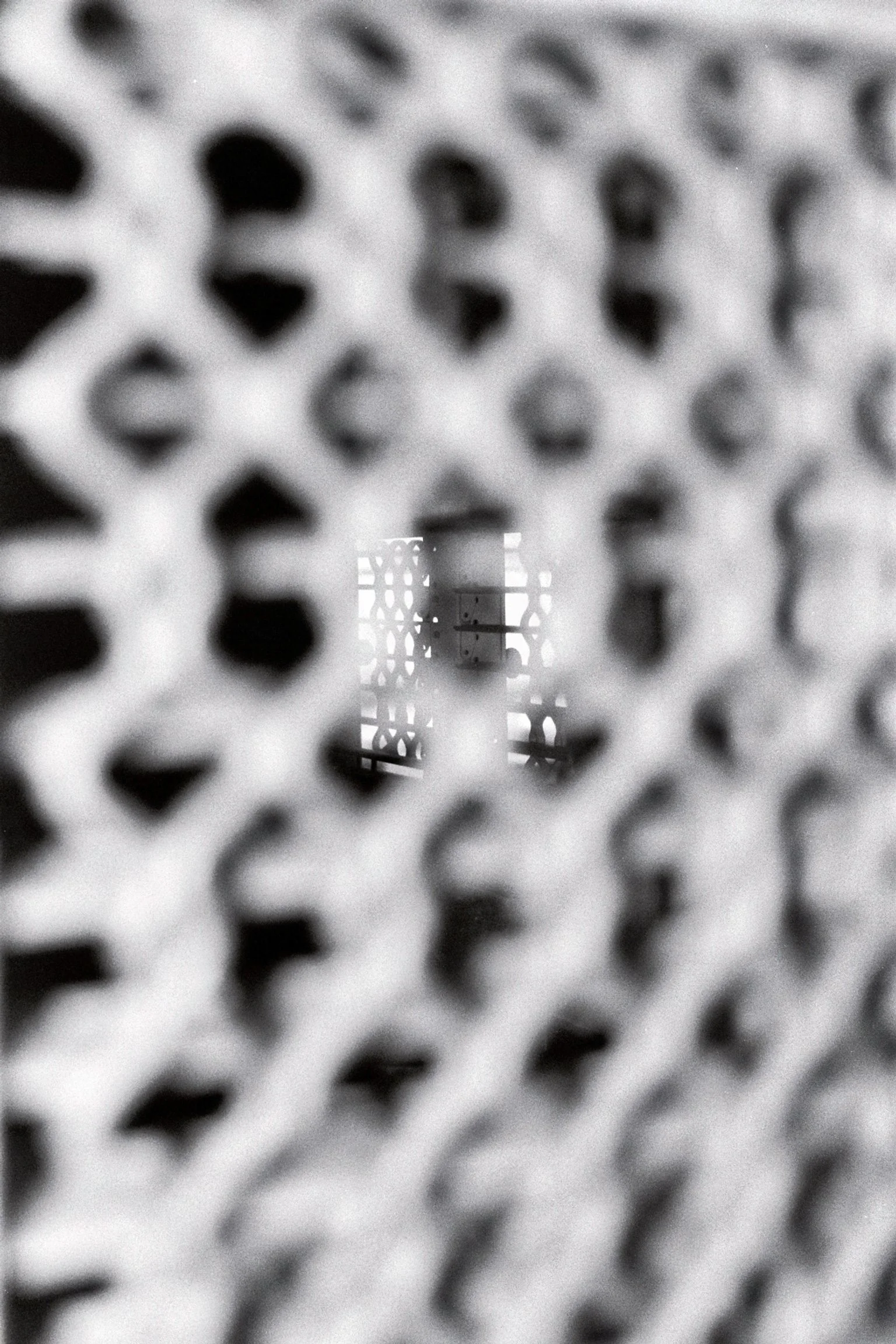 imm000_N0.jpg