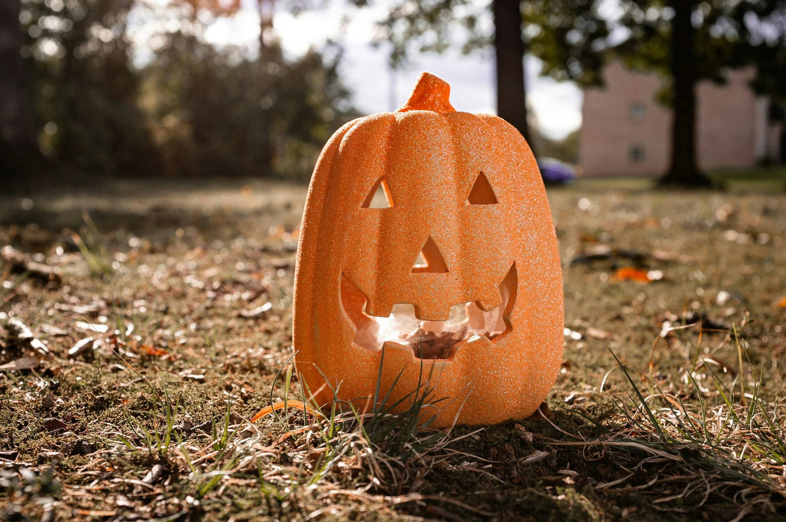 Punkin' Carvin'