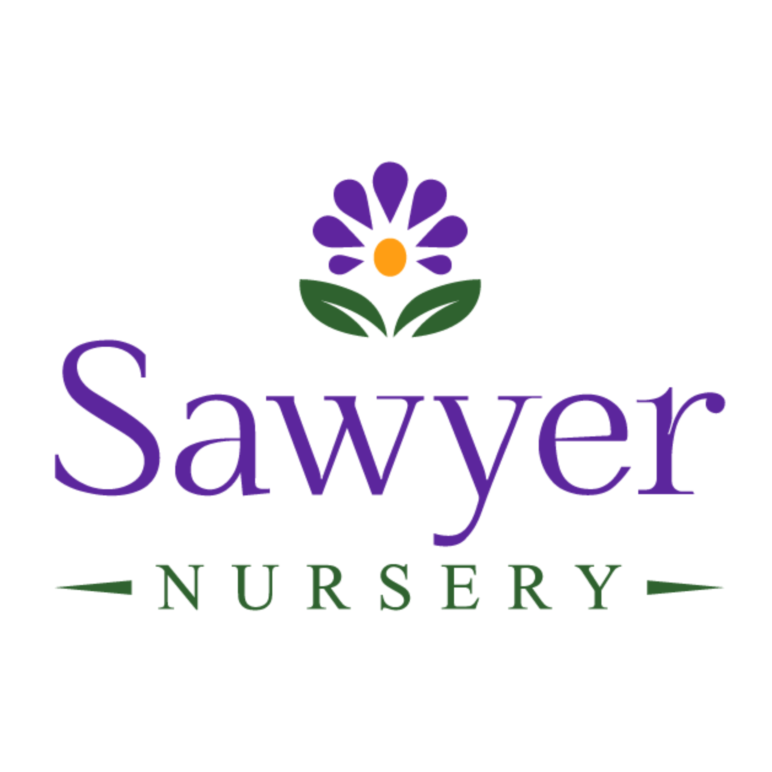 sawyer nursery.png
