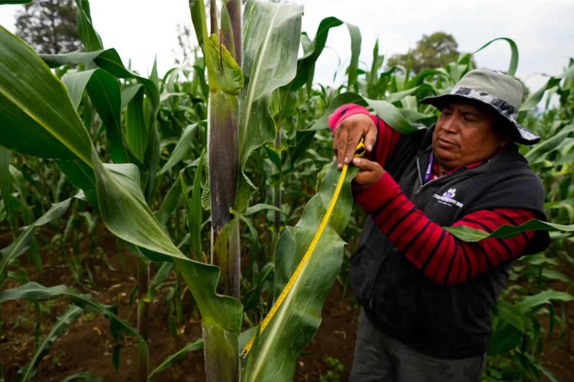 Extreme weather contributing to migration between US, Mexico: Research