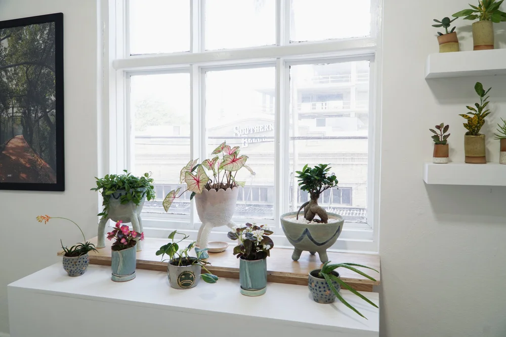 "Buy Me Flowers &amp; Call Me Pretty" installation