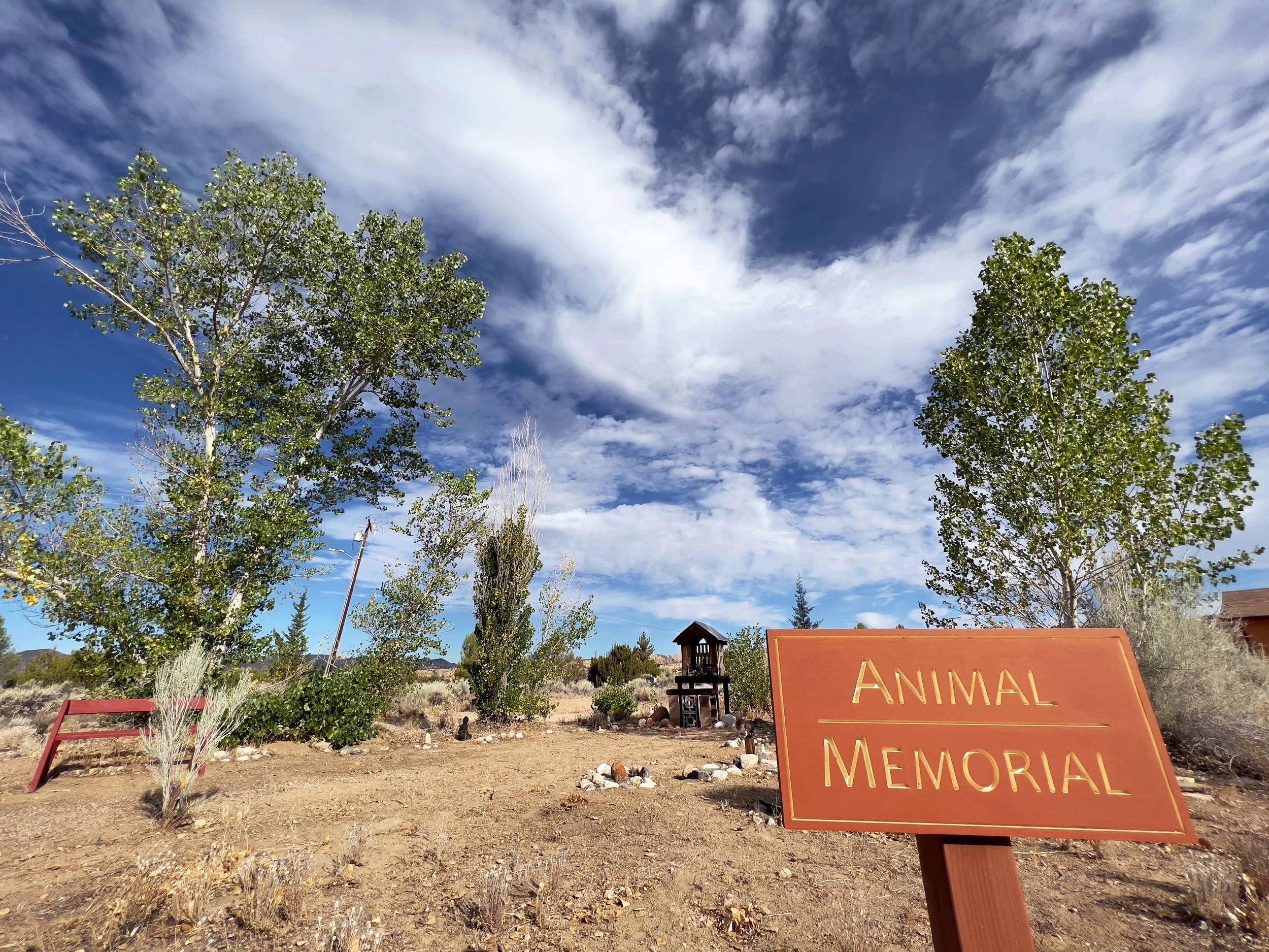 The Animal Memorial is where beloved pets have headstones to commemorate them