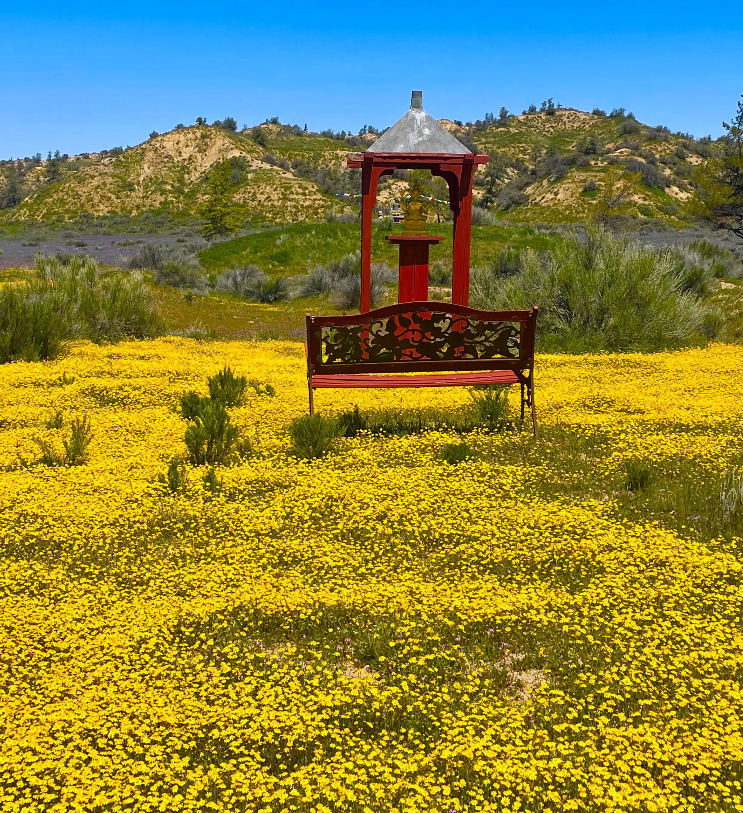 LORD BRAHMA GOLDEN BUDDHA (1).JPG