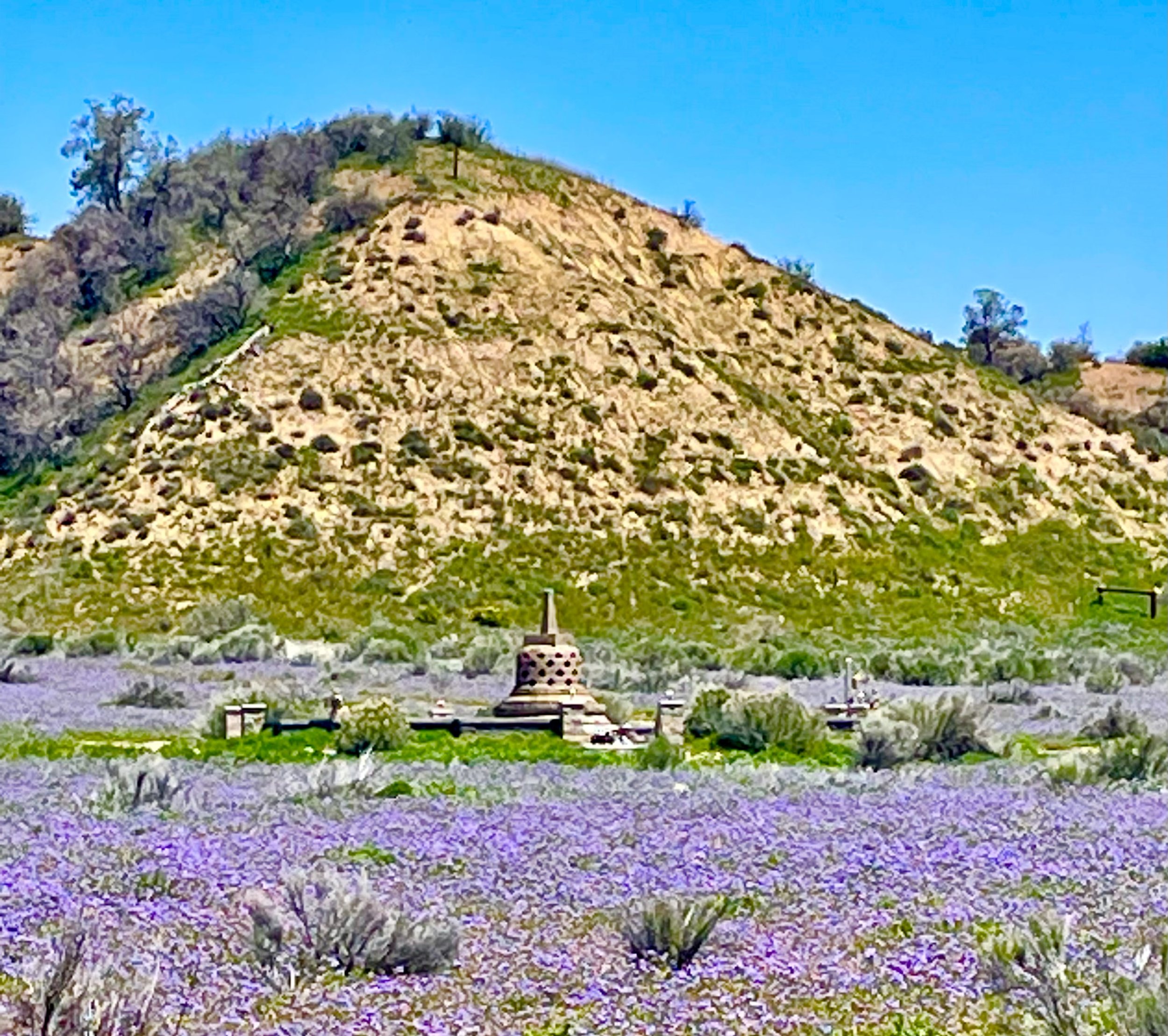 STUPA PURPLE FLOWERS (1).JPG