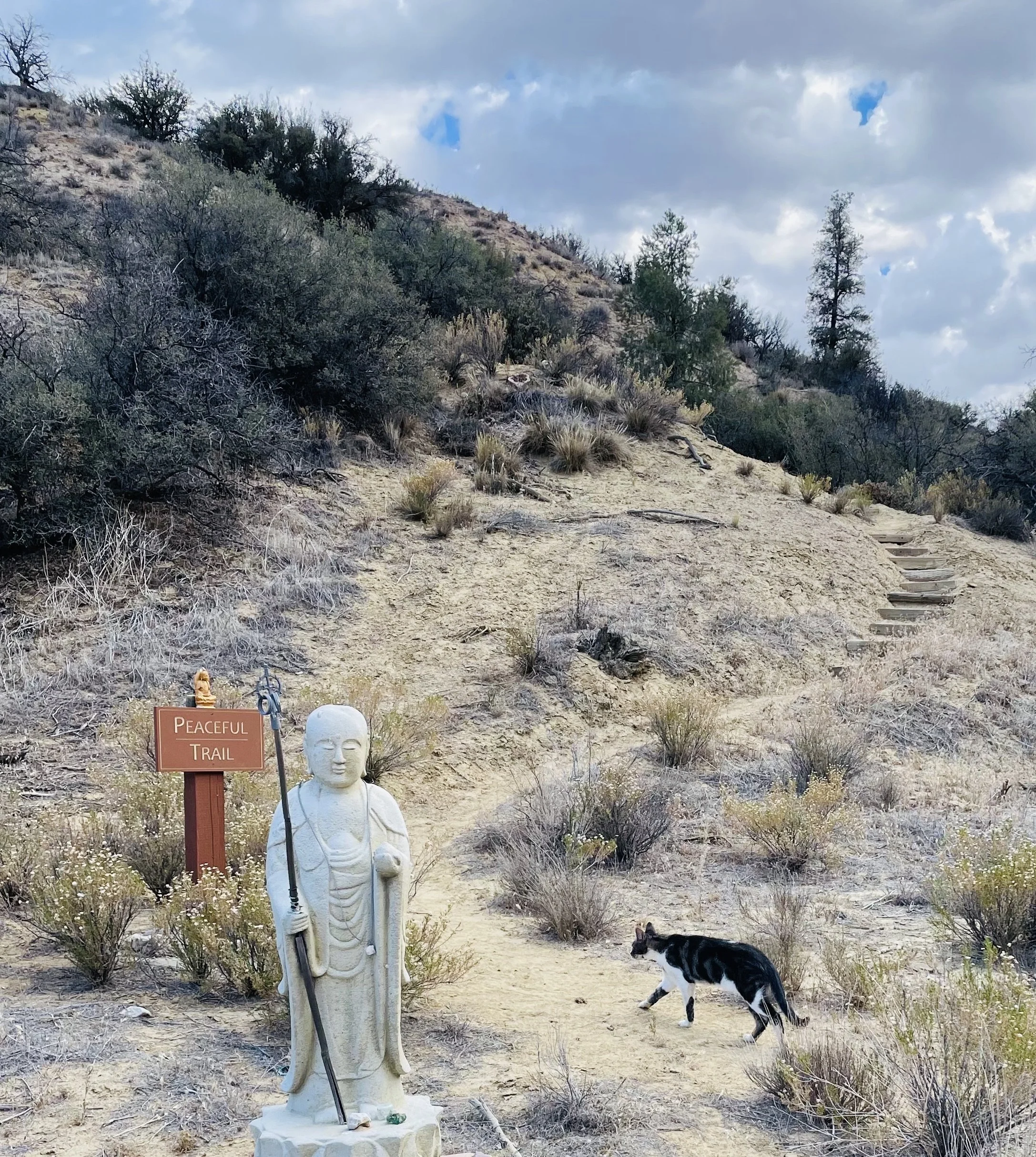 The Peaceful Trail is about half a milt to the top, where you can sit on a bench surrounded by Tibetan Prayer Flags. It's the best place see the magnificent view 