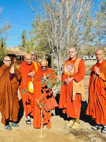 Five Buddhist Monks gifted a Bodhi Tree also known as the Tree of Awakening to the Retreat