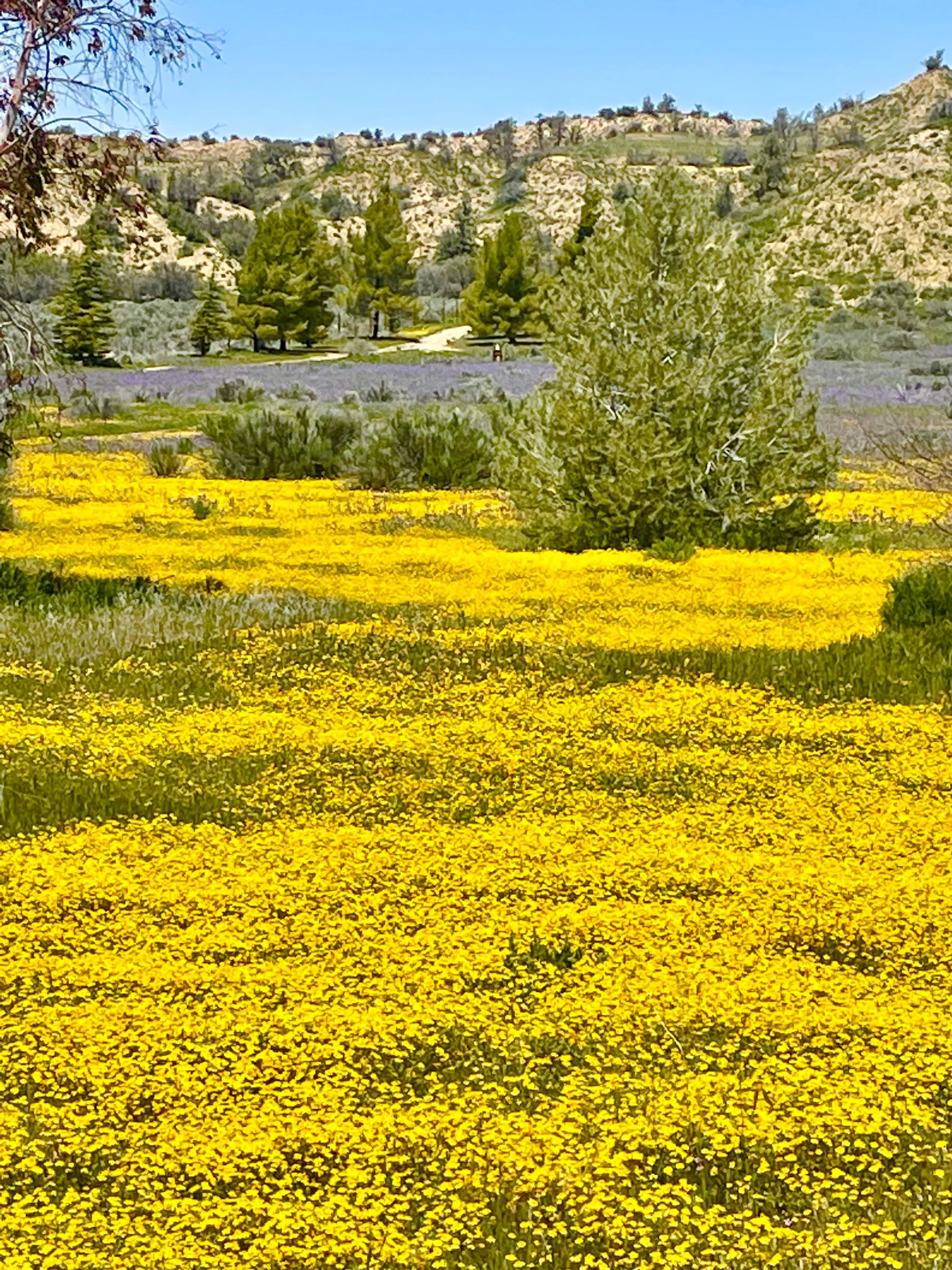 Men's All In Leadership