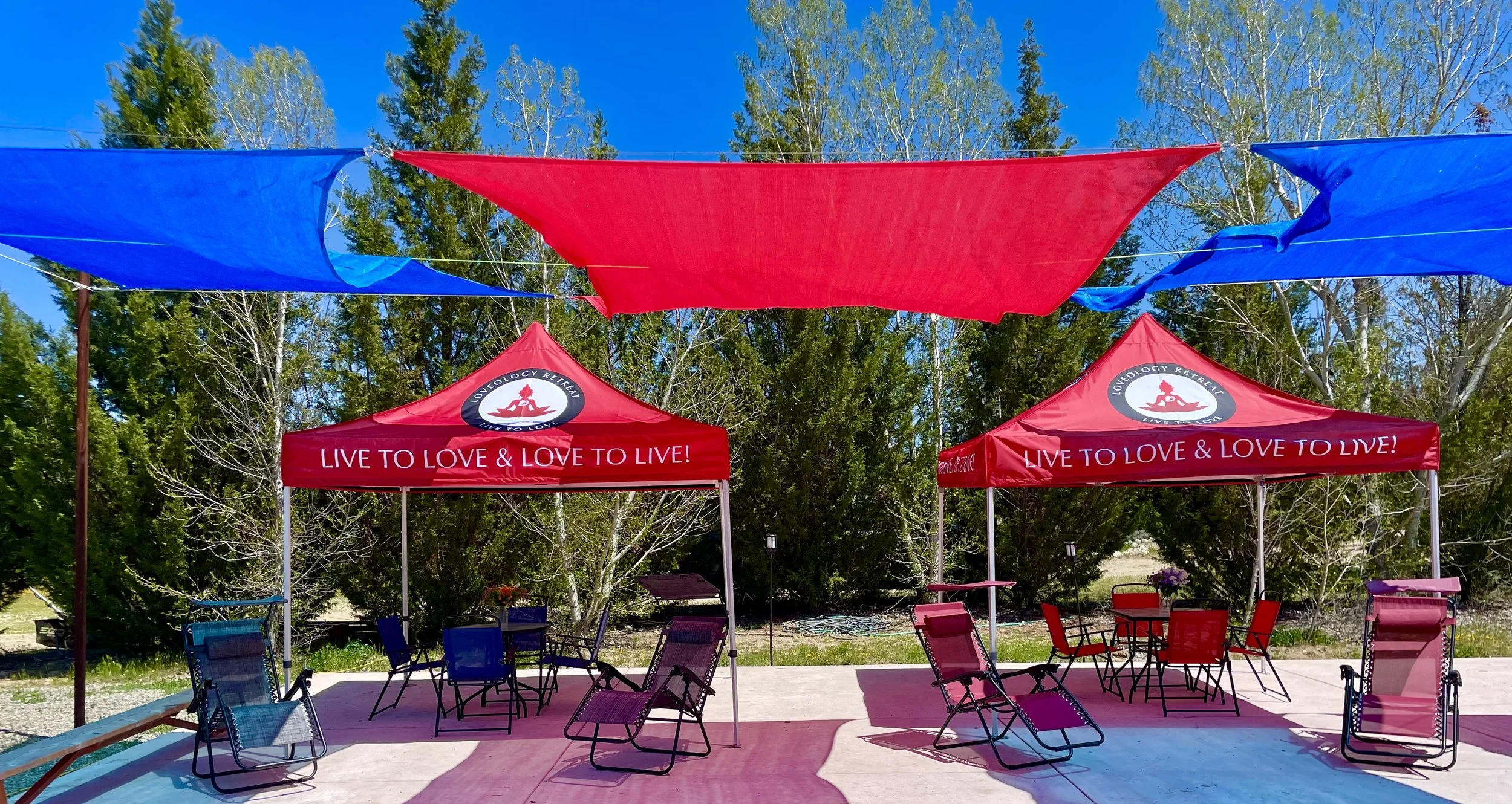 Our canopies beside the pool