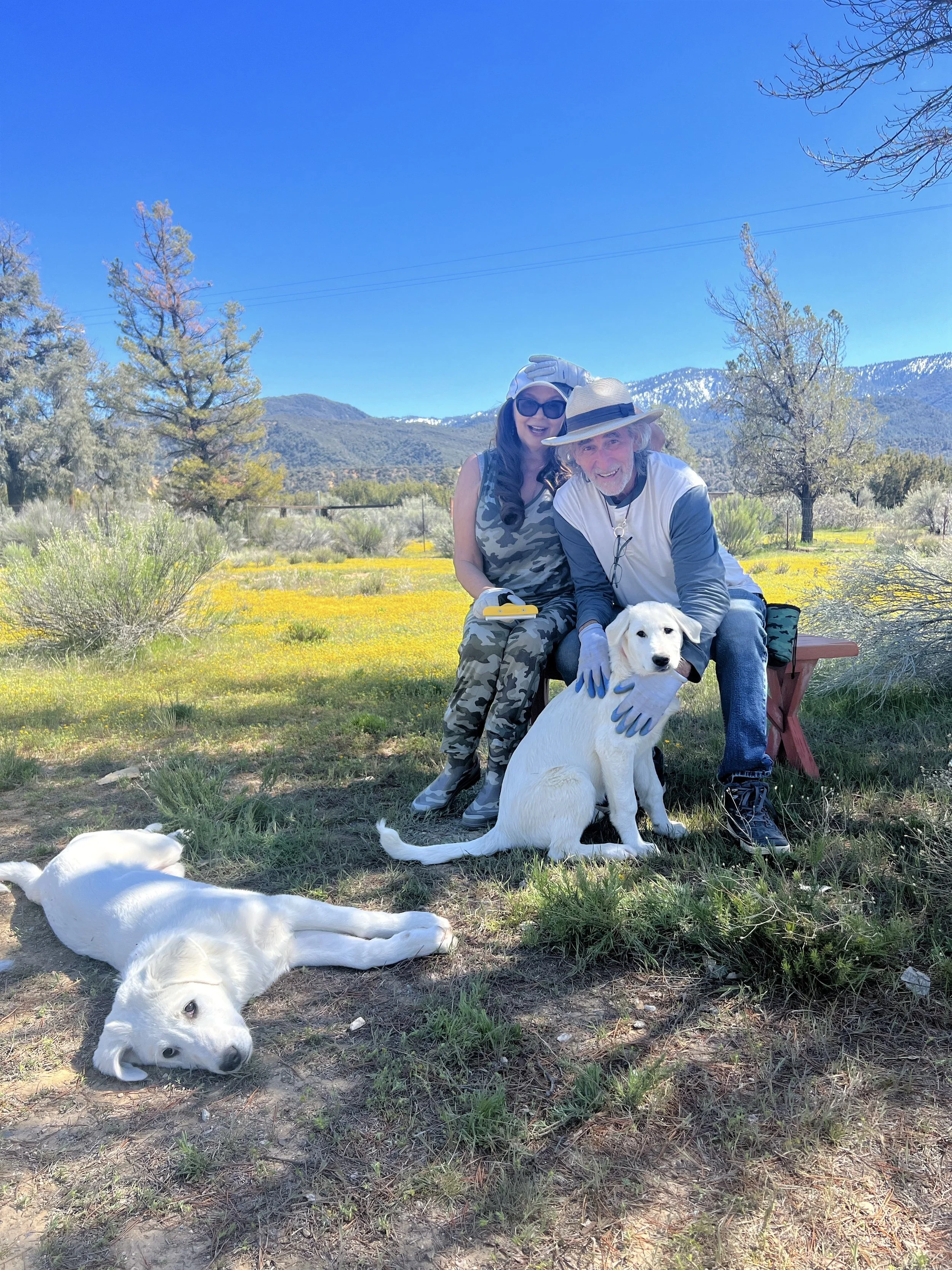 Dr. Ava, Jeff with Happy and Lucky