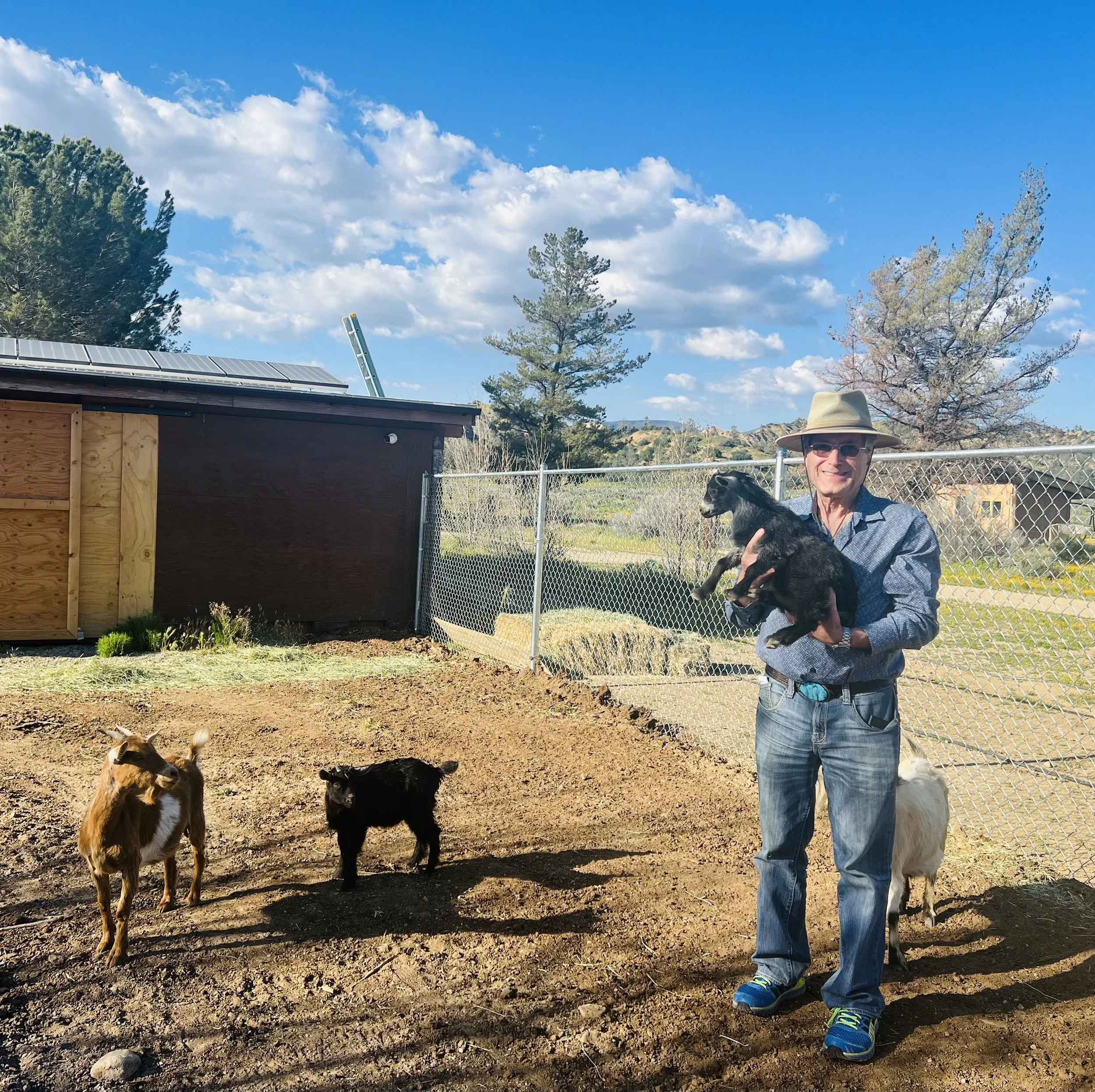 Dr. Don etkes with the goats