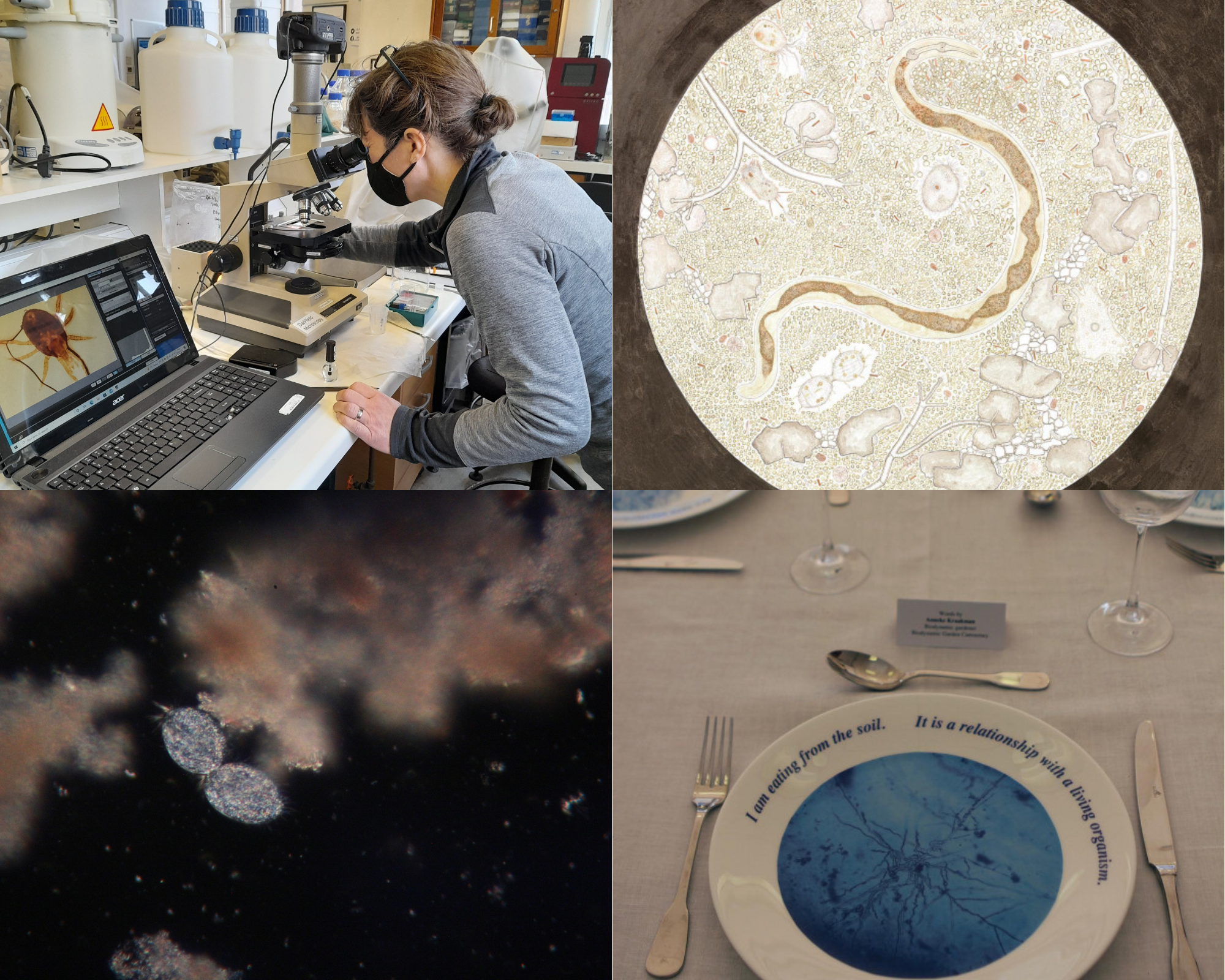 Natalie Taylor – Using microscopy to make soil microorganisms visible. Artwork and images by Natalie Taylor.