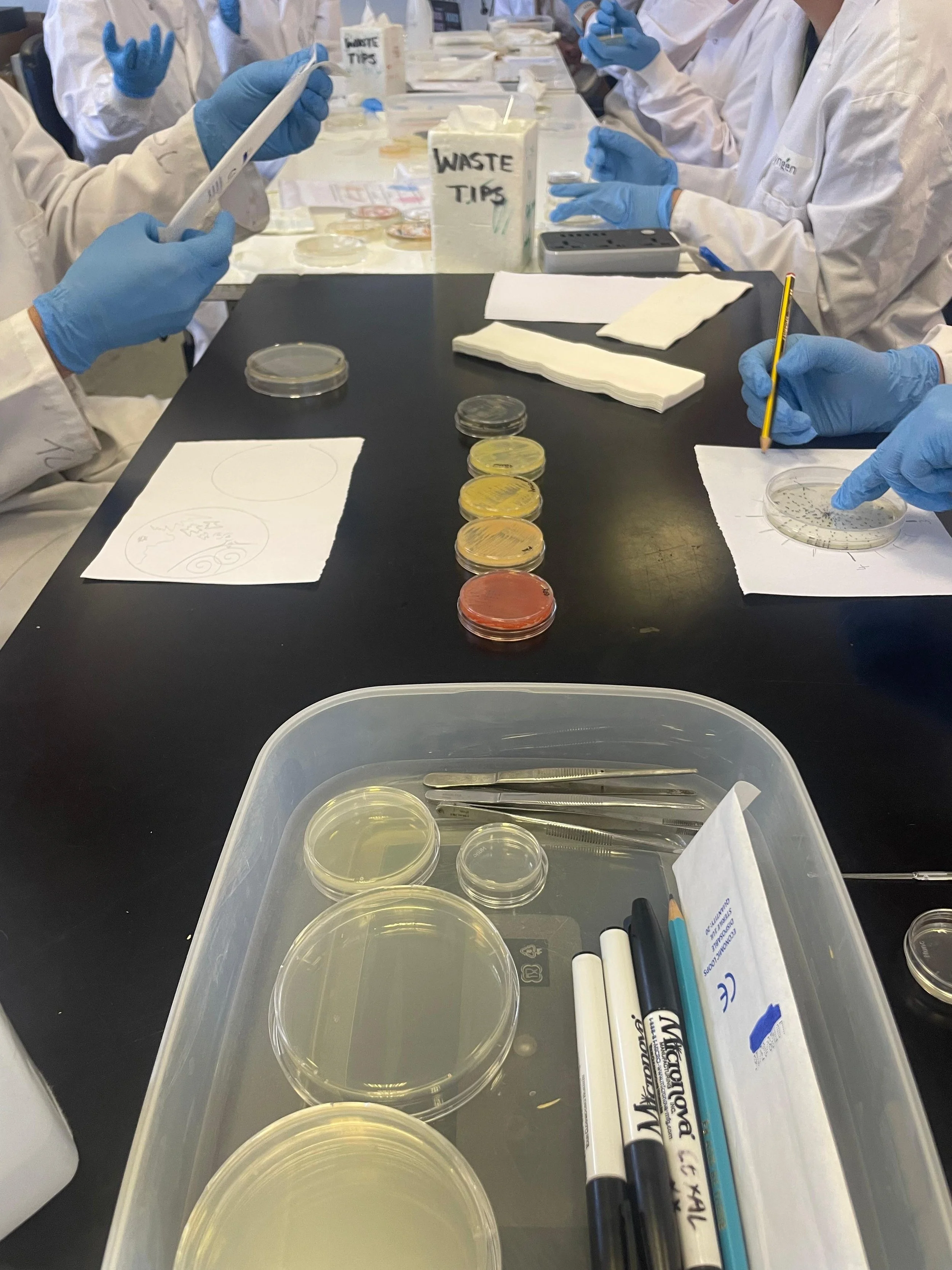 WhatsApp Image 2025-07-30 at 11.18.06.jpeg