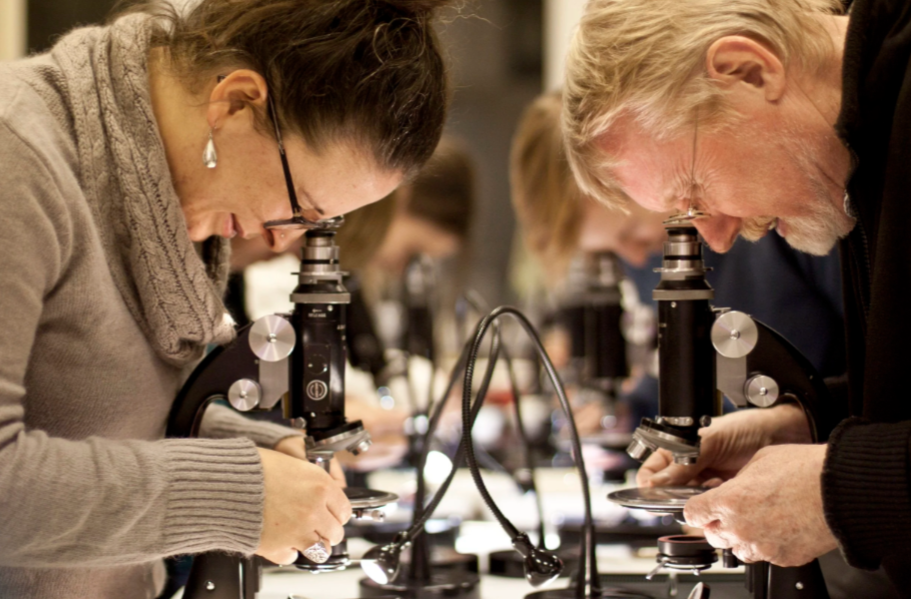 Microscopy in the Meadows