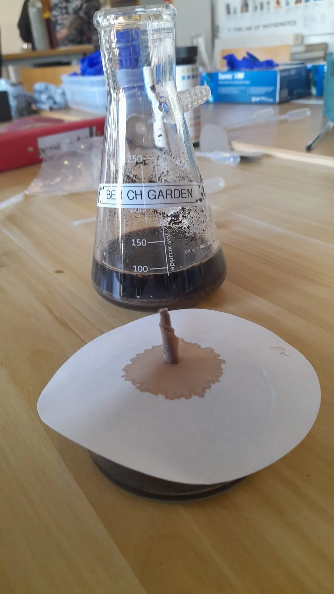 WhatsApp Image 2025-10-30 at 13.46.38.jpeg