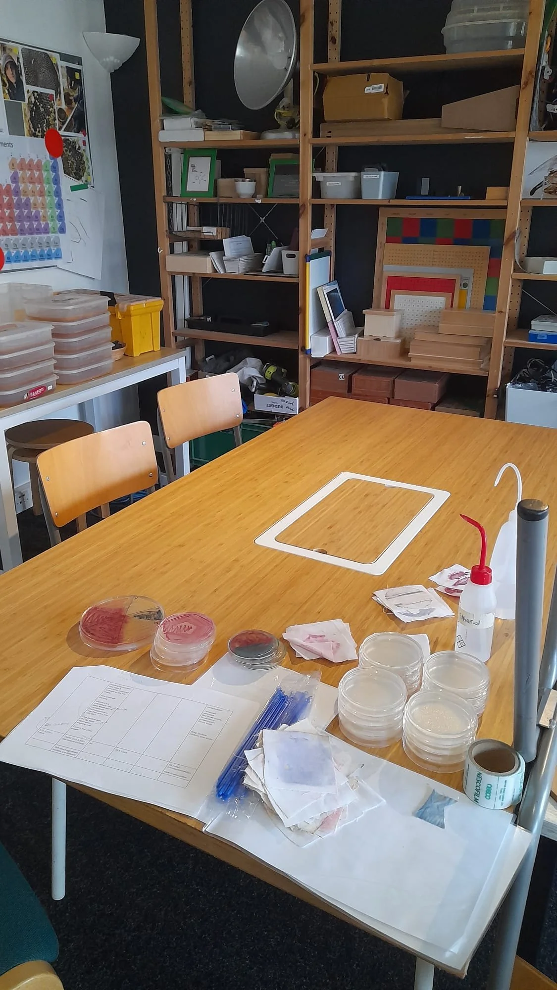 WhatsApp Image 2025-10-30 at 13.45.35.jpeg