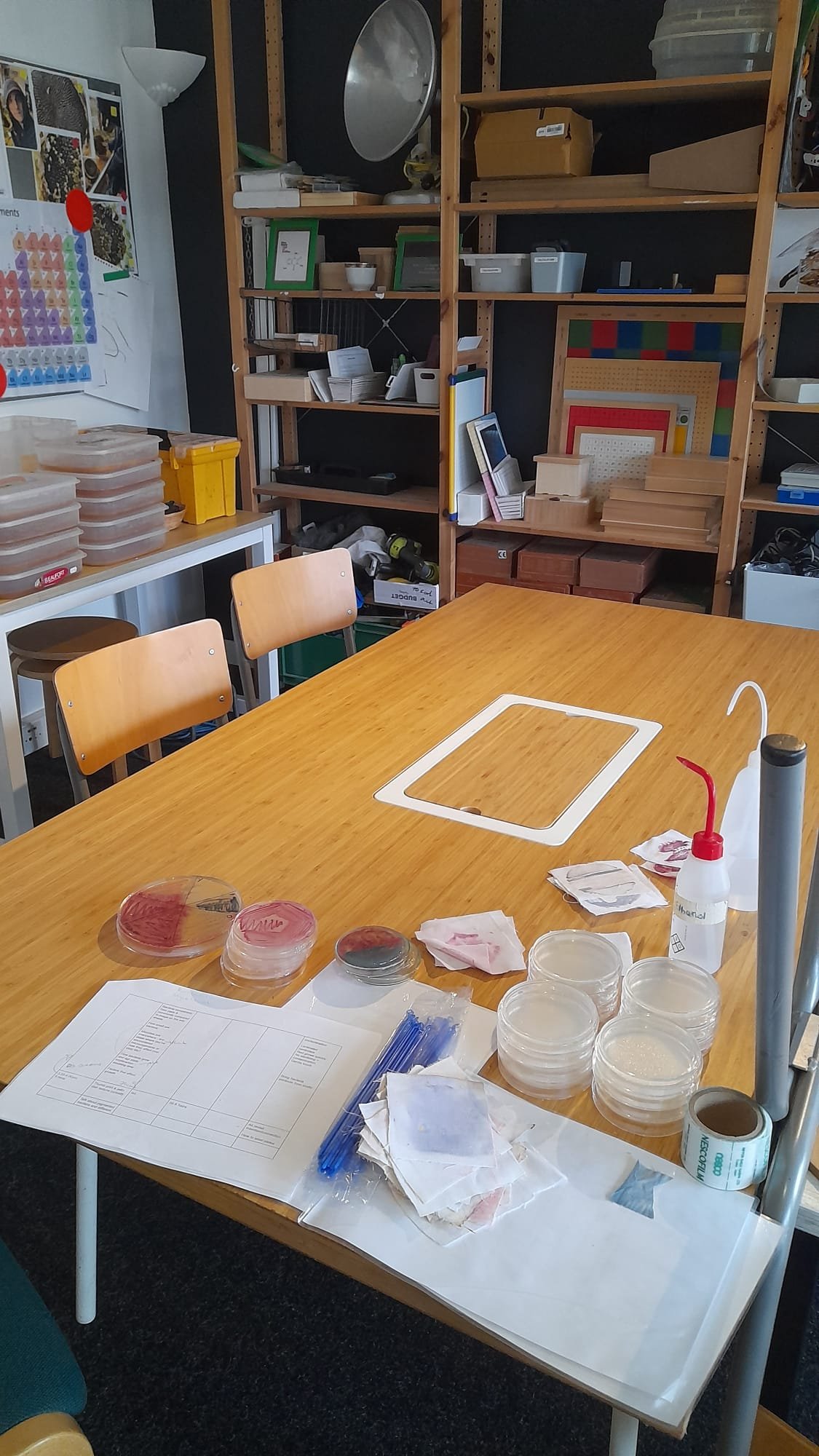 Edinburgh Montessori Arts School collaboration