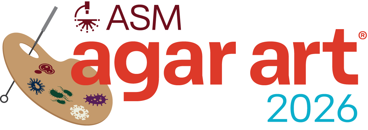 HD-2582-2026-agar-art-logo 1 1.png