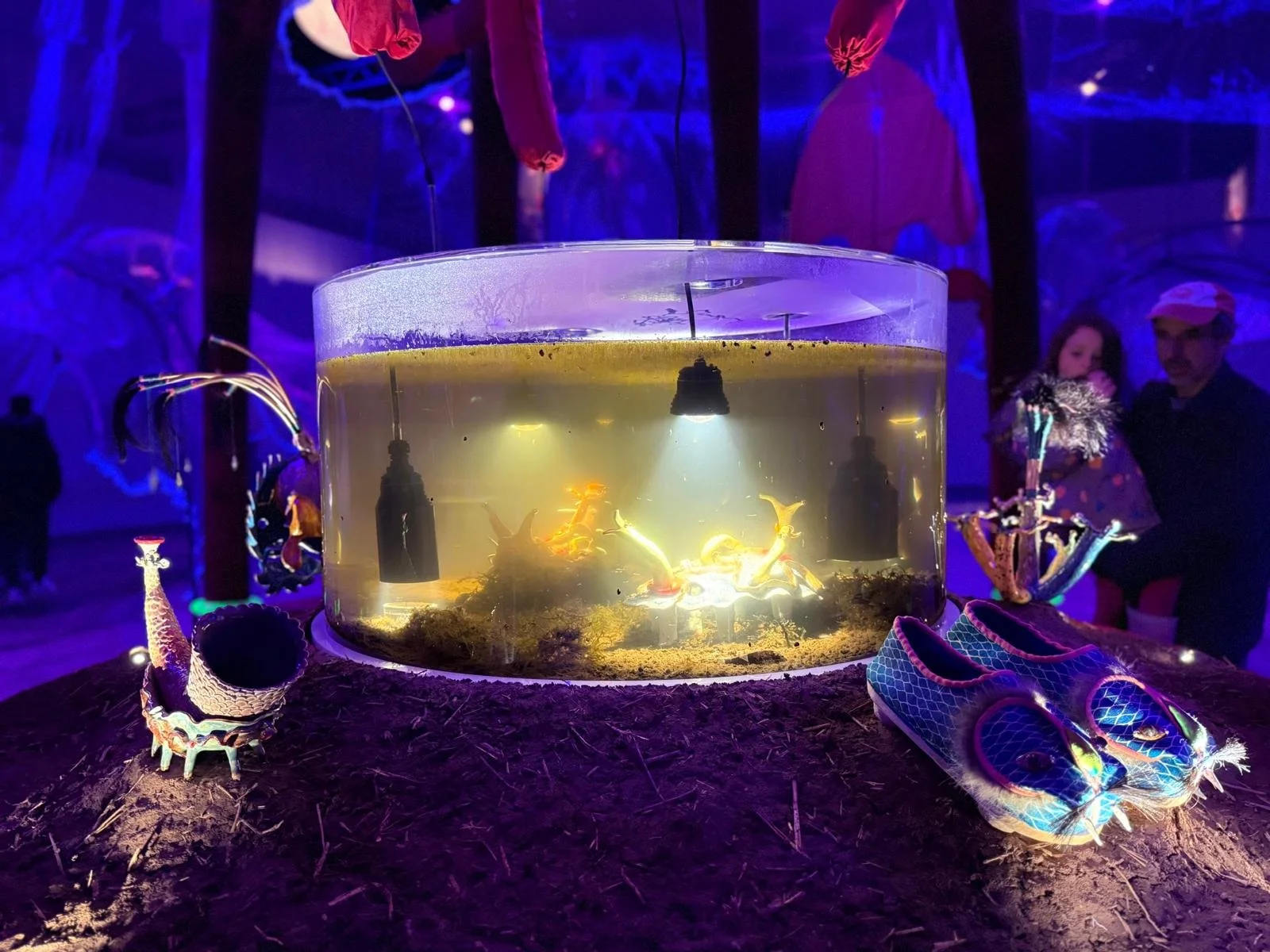 ASCUS Builds custom microscope for Tramway exhibition