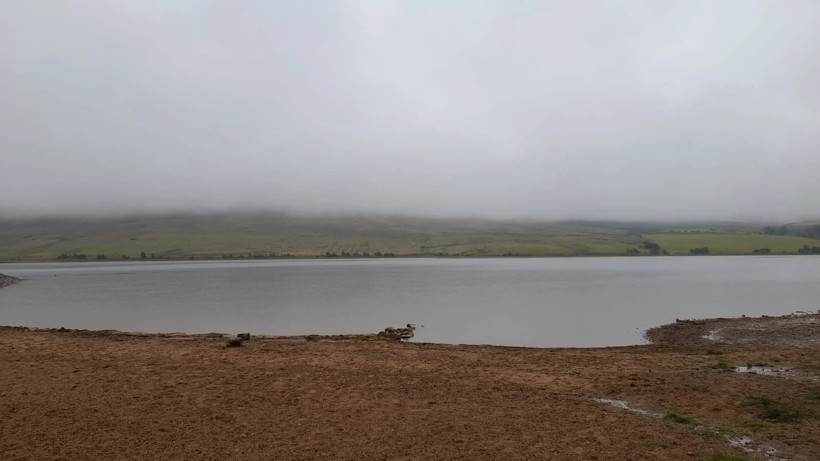 Contributing to environmental water monitoring