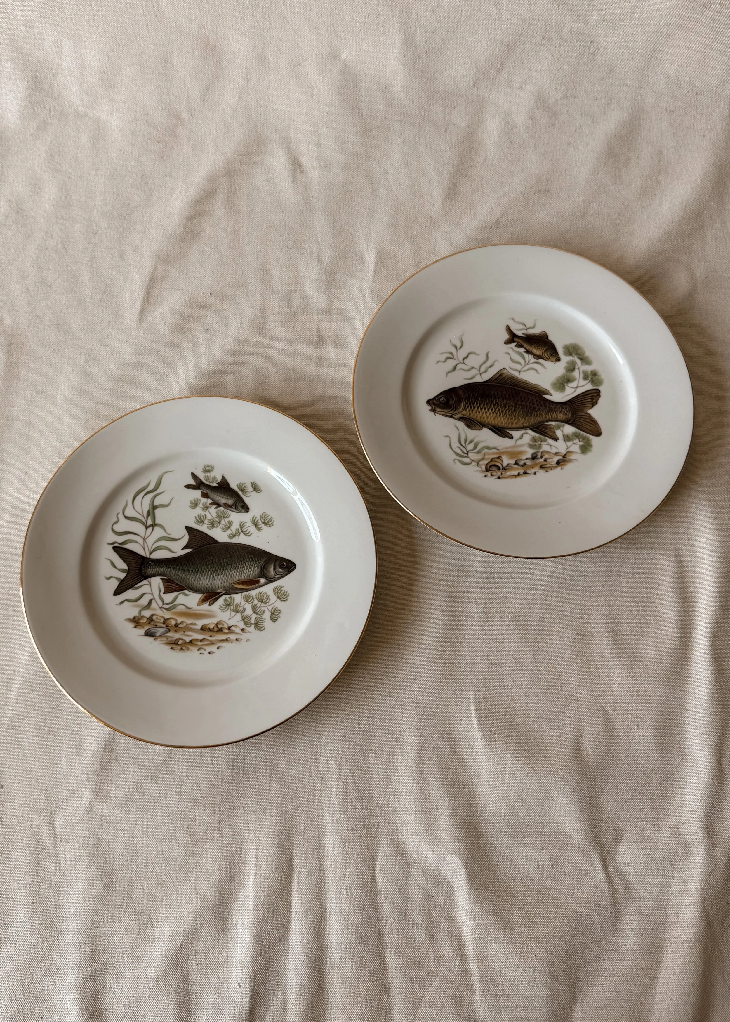 Pair of Johann Seltmann Vohenstraub Bavarian Porcelain Fish Plates