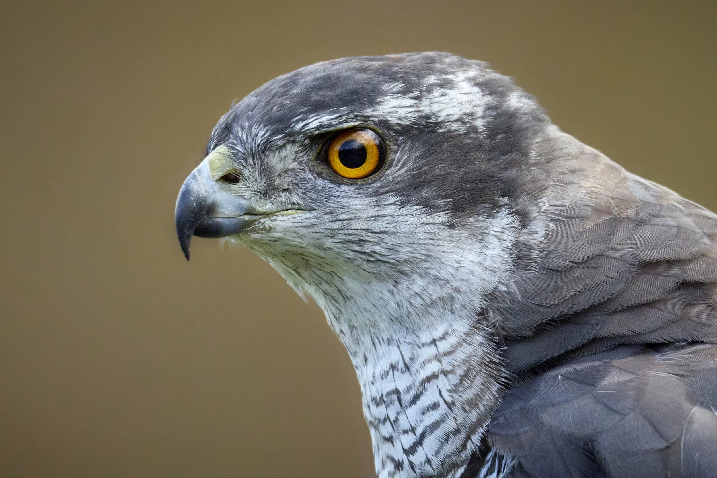 24-10-11_10-46-46_5M28203 1.jpg