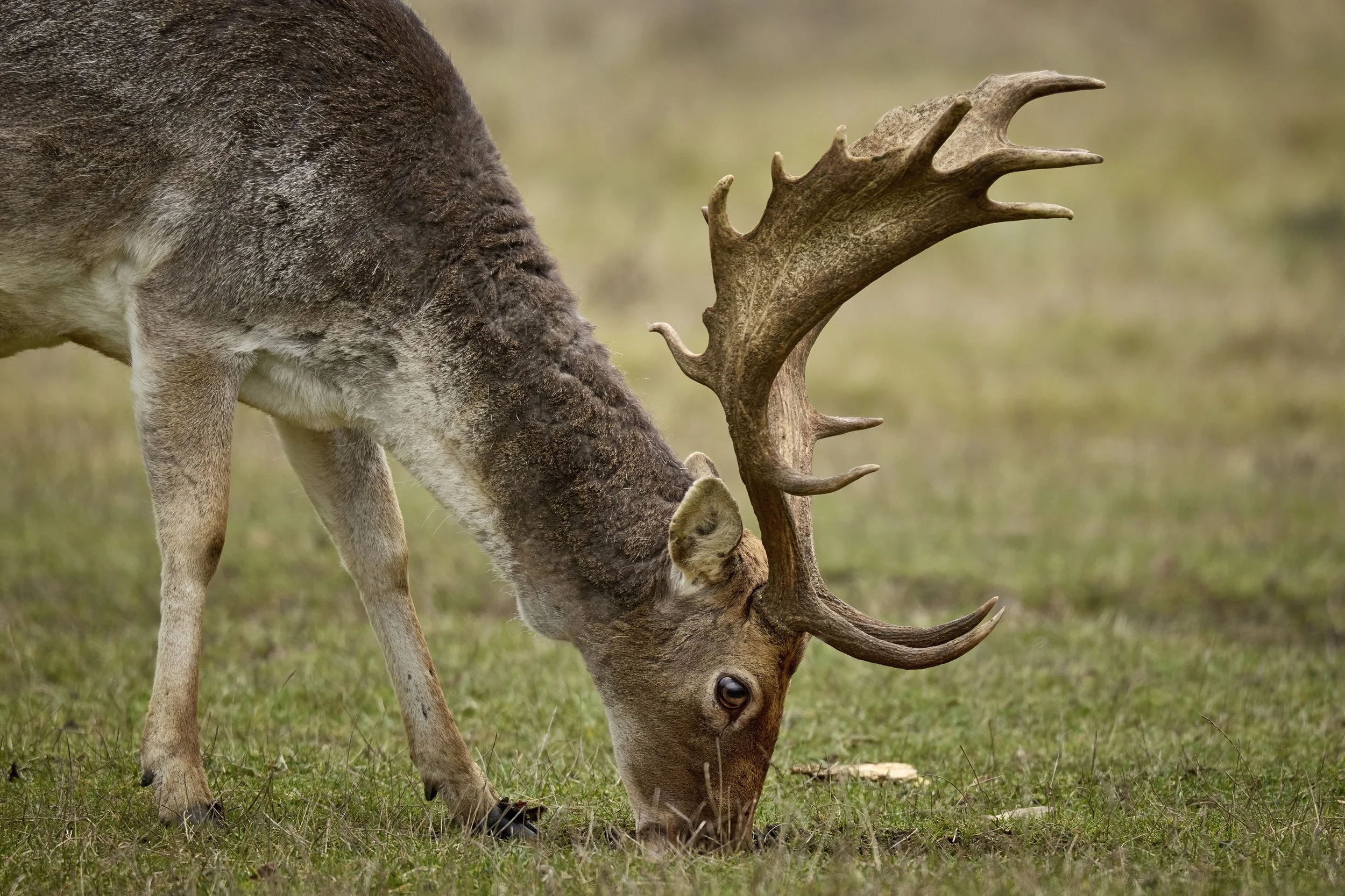 25-12-03_12-16-19_5M29221 0_tdn.jpg