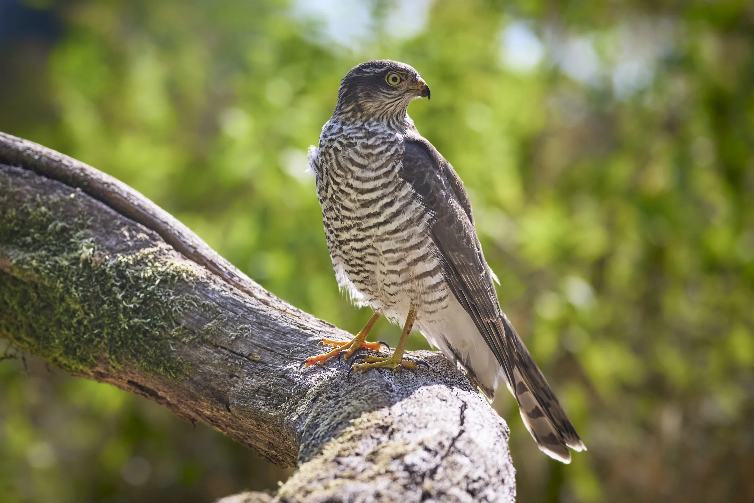 _24-08-16_09-33-12_R5_4699 1.jpg