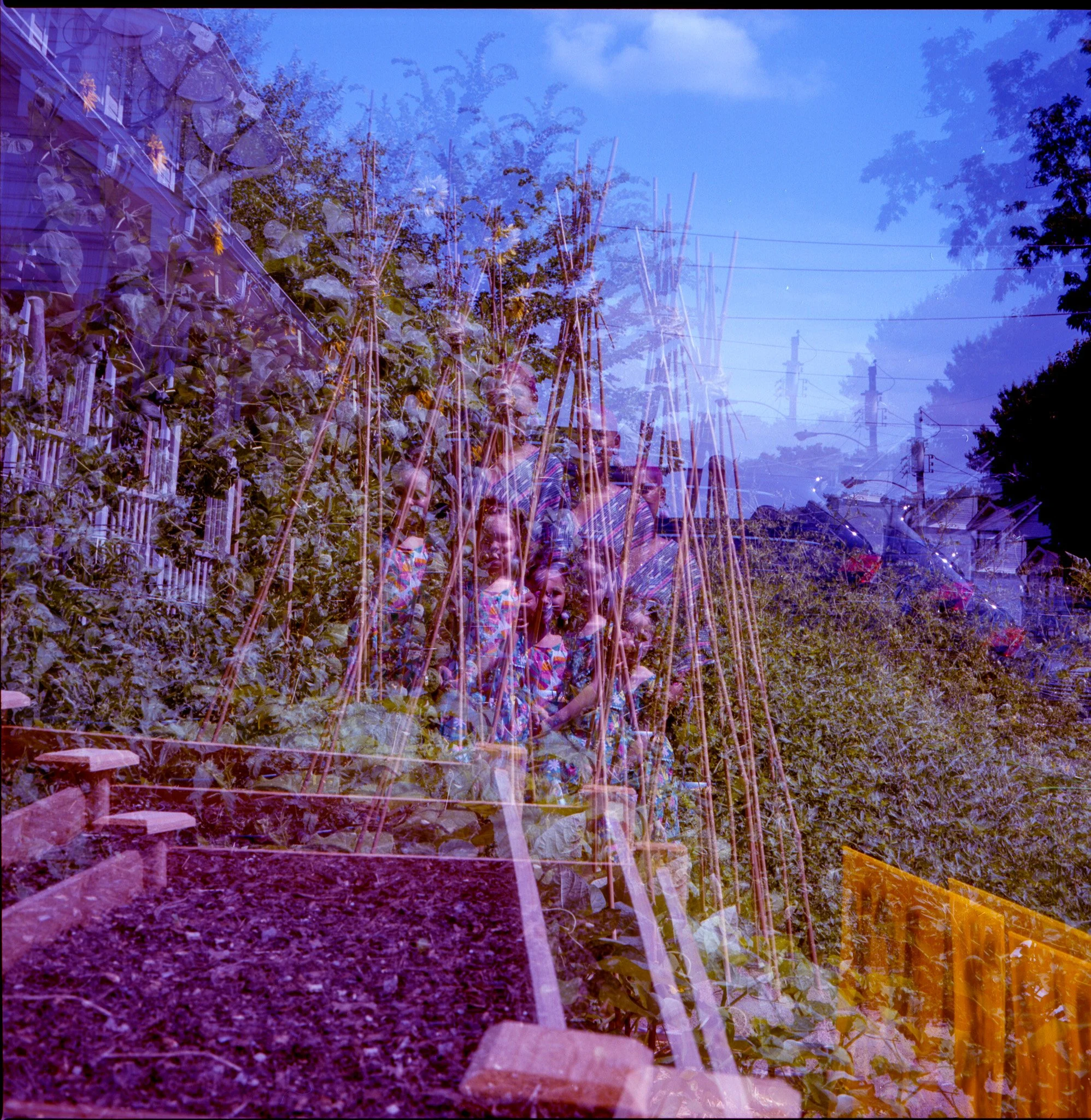 010.jpg