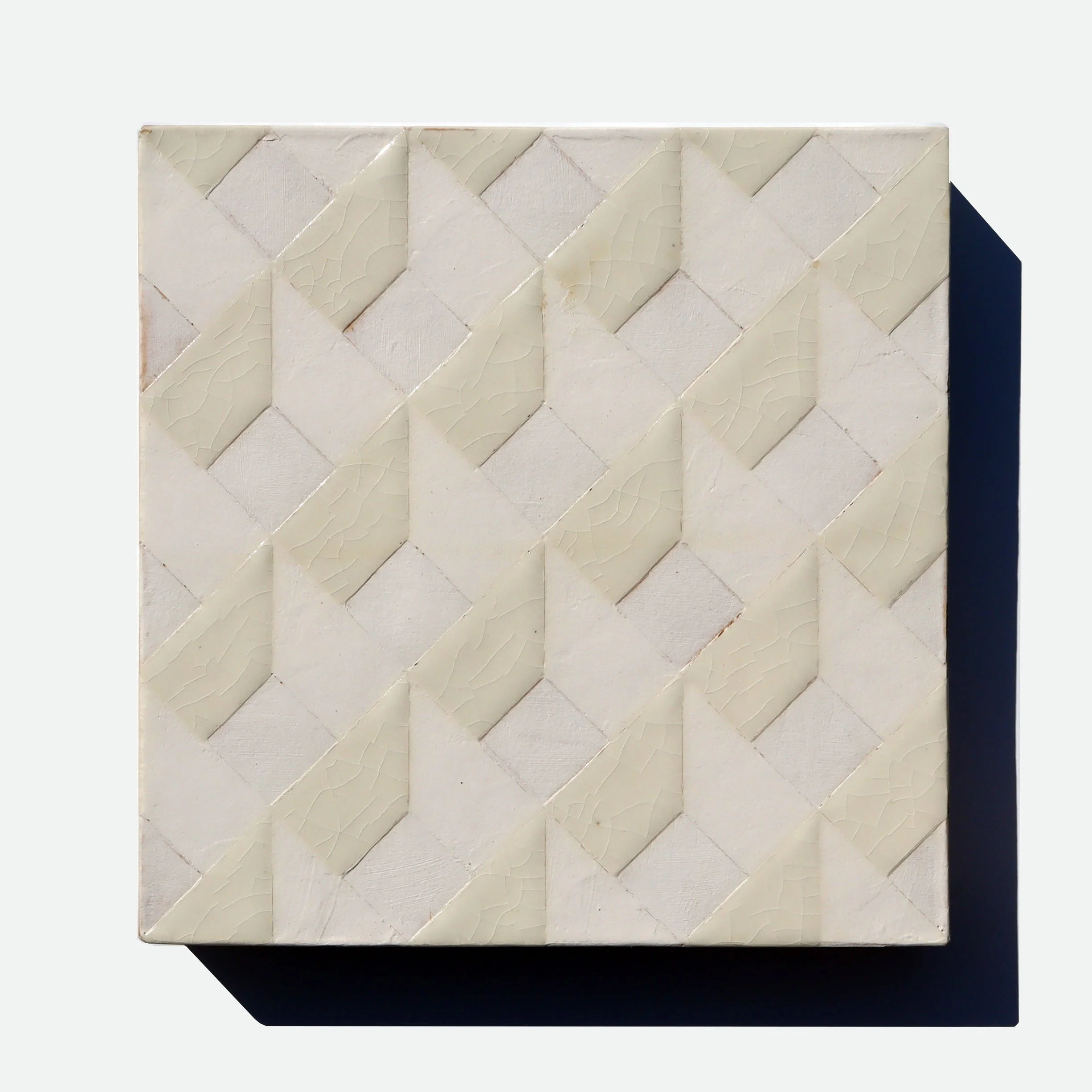 Wrapped Cells (Winter)