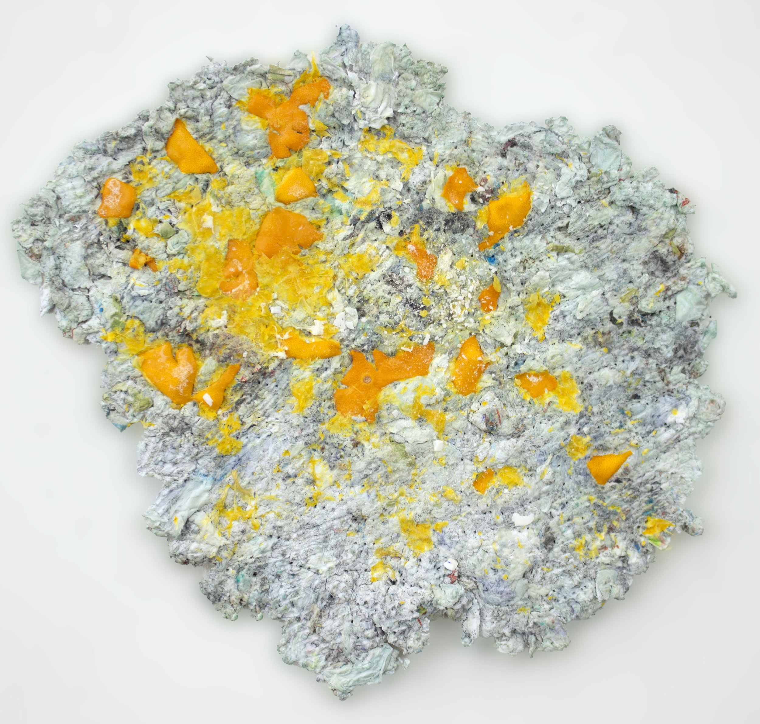 Untitled (Tony and I got oranges from the tree in the backyard and made orange juice in the pool on june 18th 2011, 930 am) copy.jpg