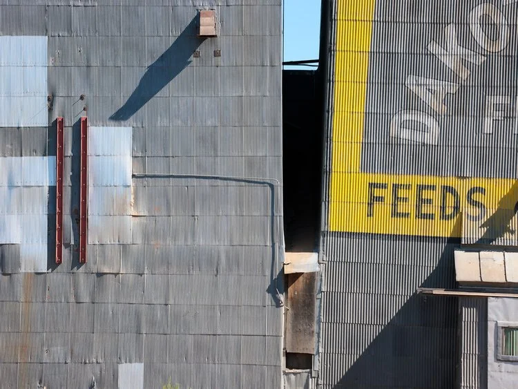 Grain, #230 — Cleveland, ND