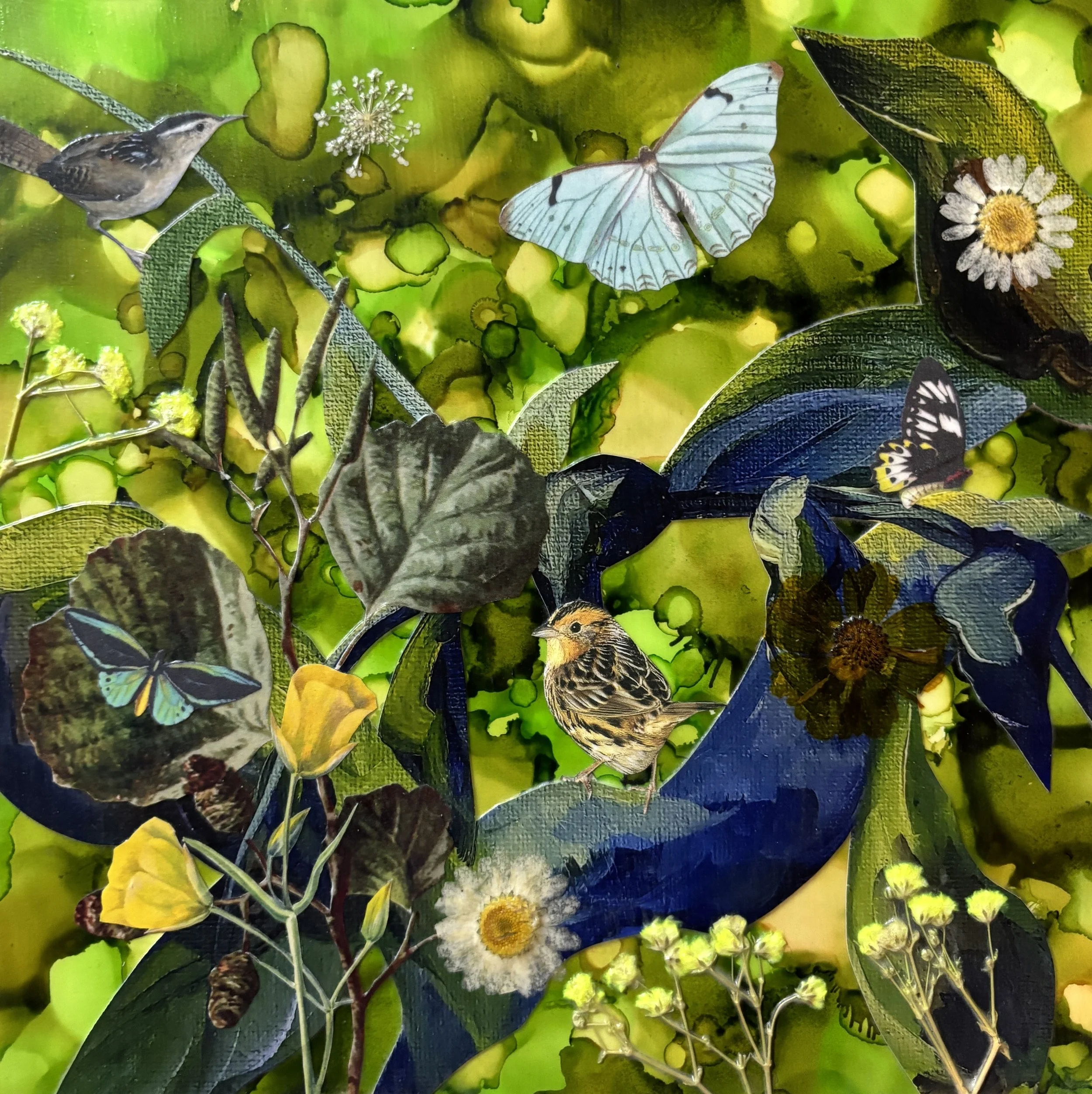 Through The Clearing 8x8.jpg