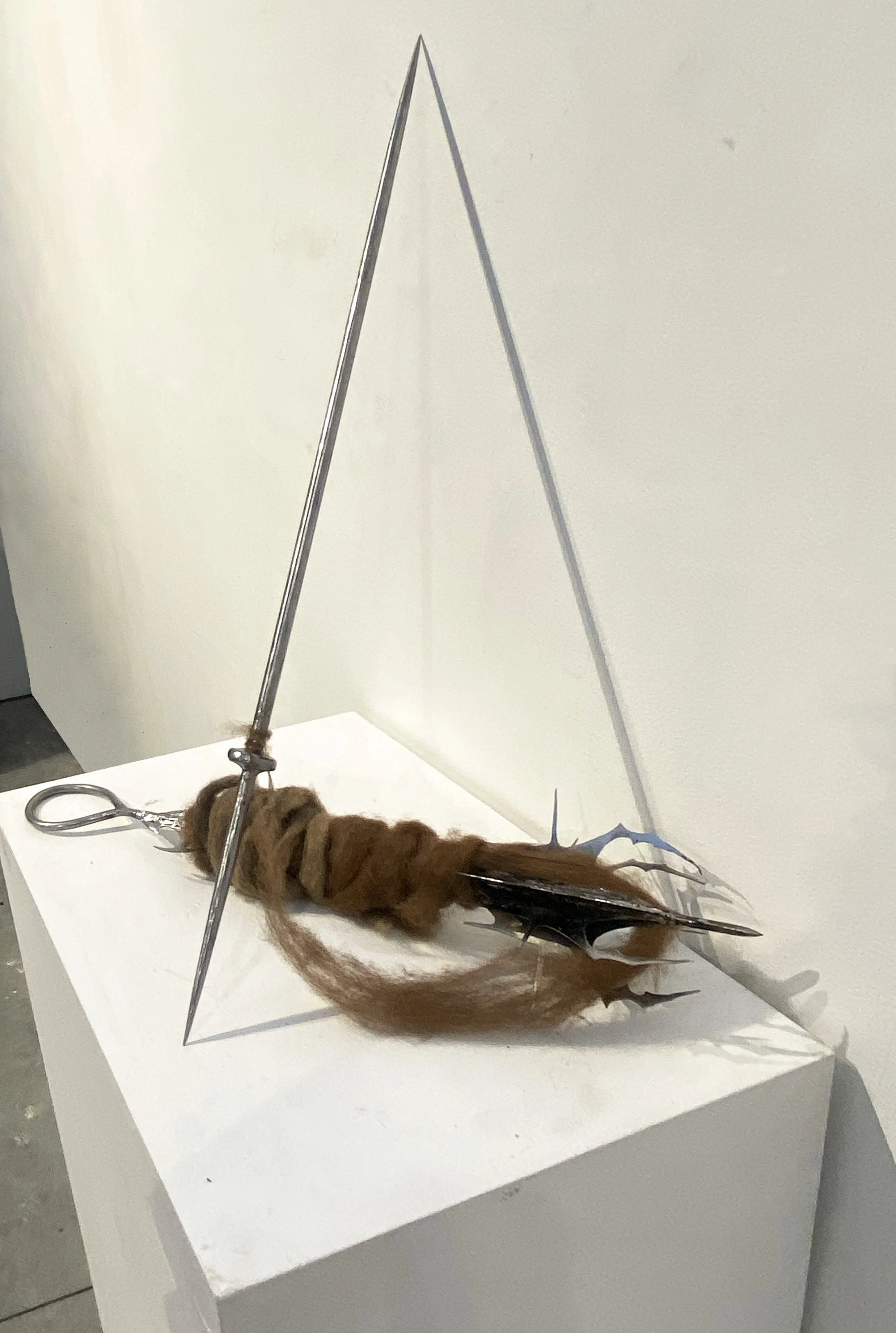 TomRecker-Eve'sBoon(CutMenOpen) copy.jpg