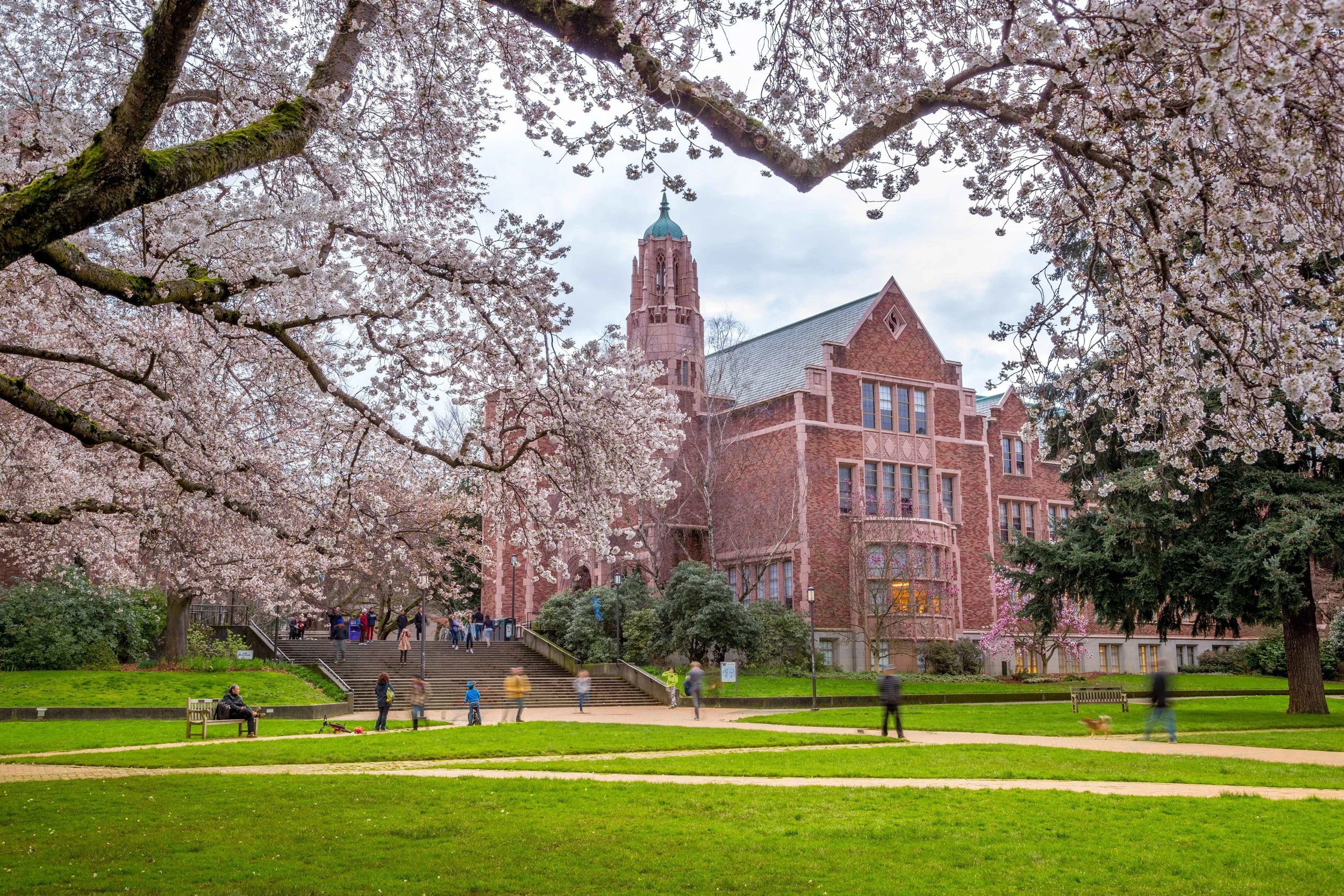 SIS &amp; ERP Implementations: Lessons in Governance, Change, and Leadership