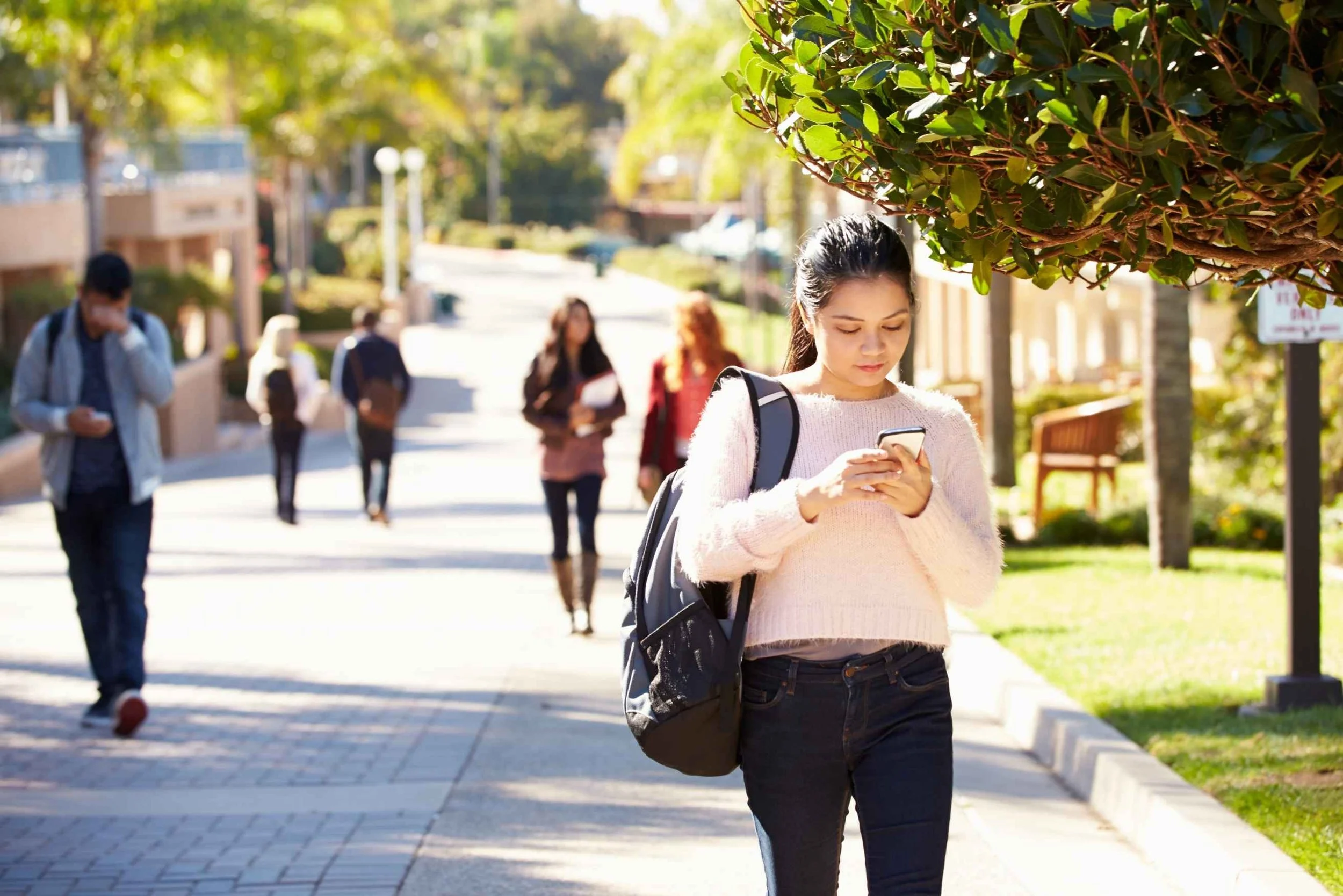 Higher Education Data Integration Partner | Lingk