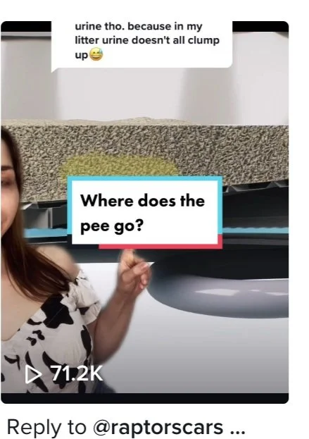 ♥️ 1199 likes  
💬 13 comments  
↪️ 87 shares