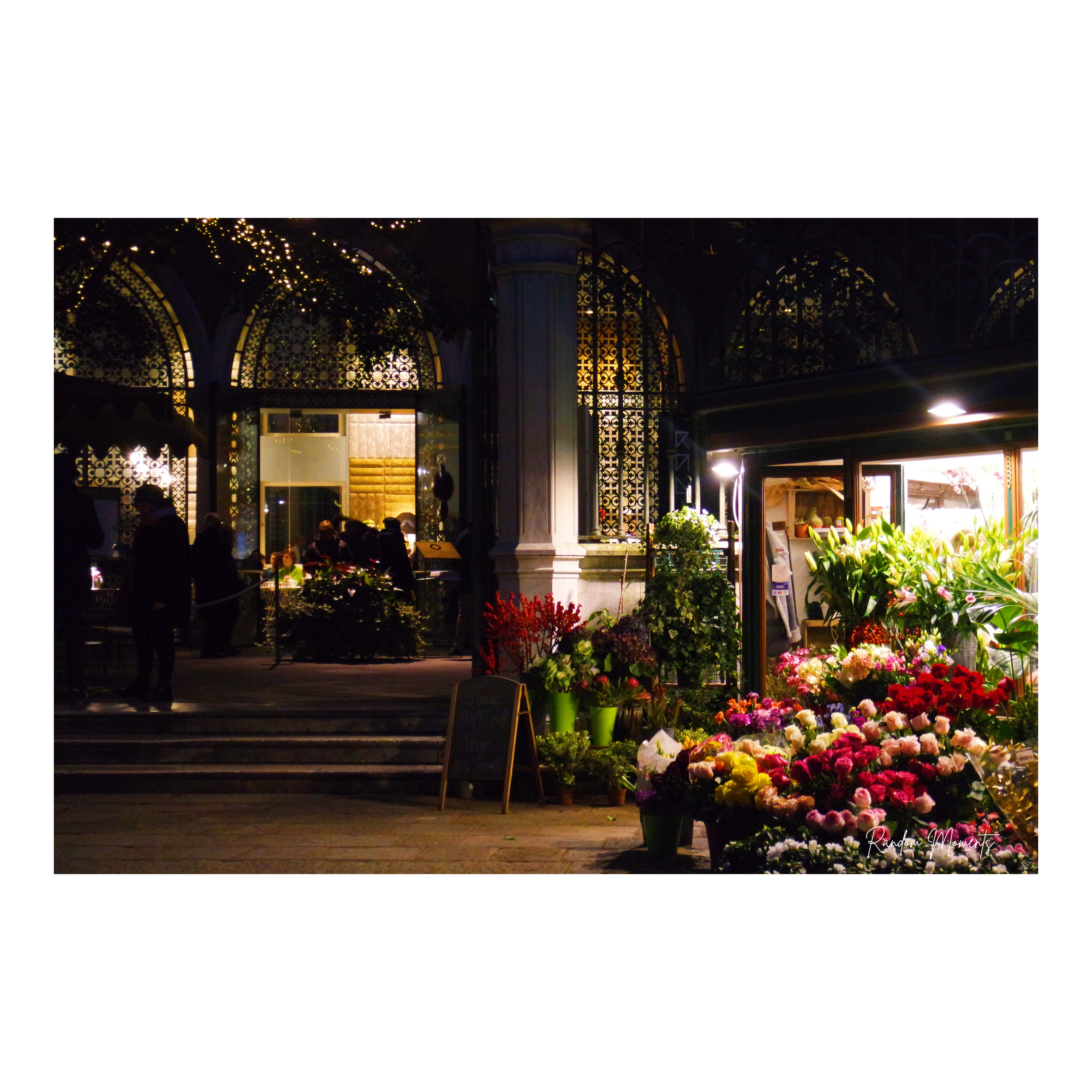 Untitled design (51).png