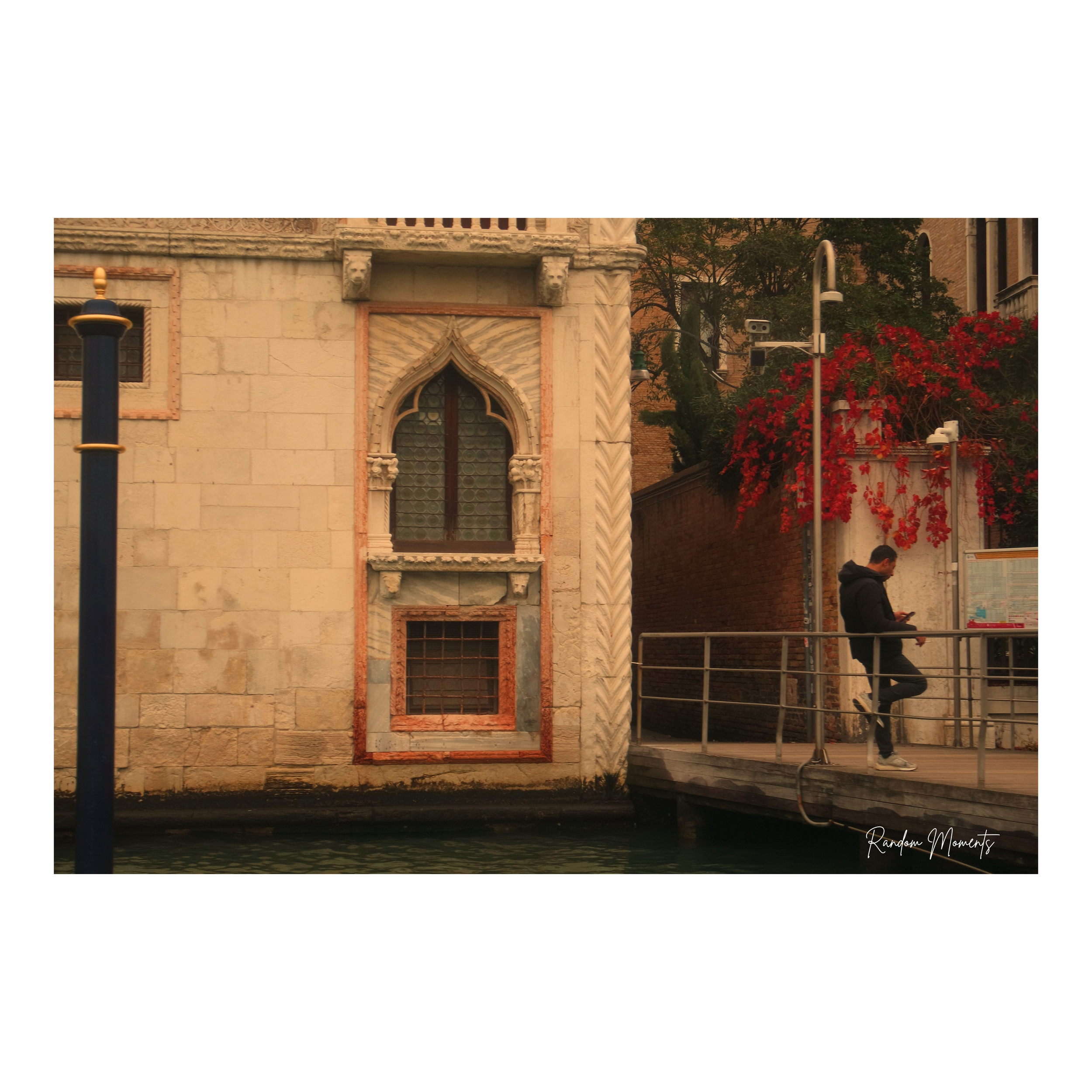 Untitled design (41).png