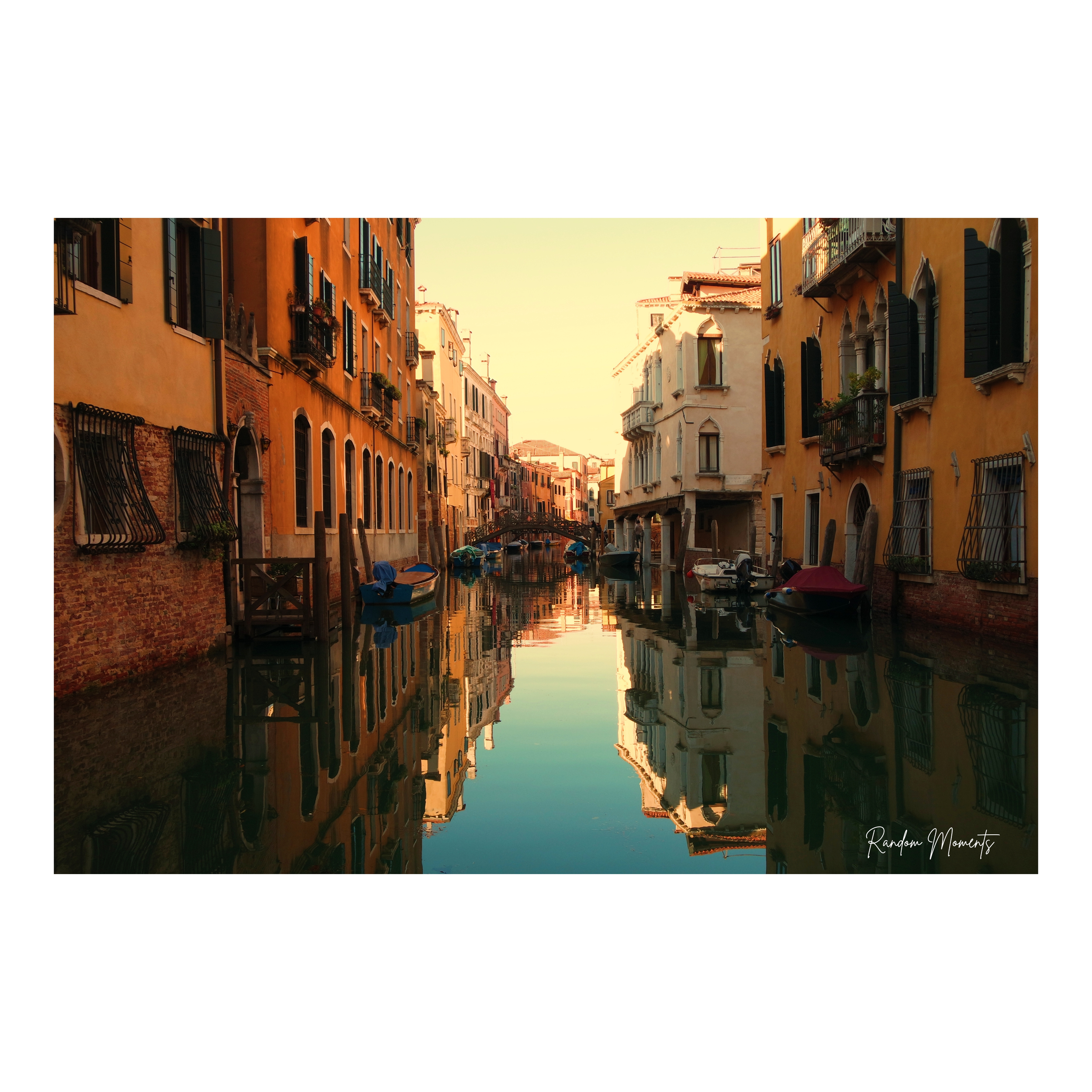 Untitled design (46).png