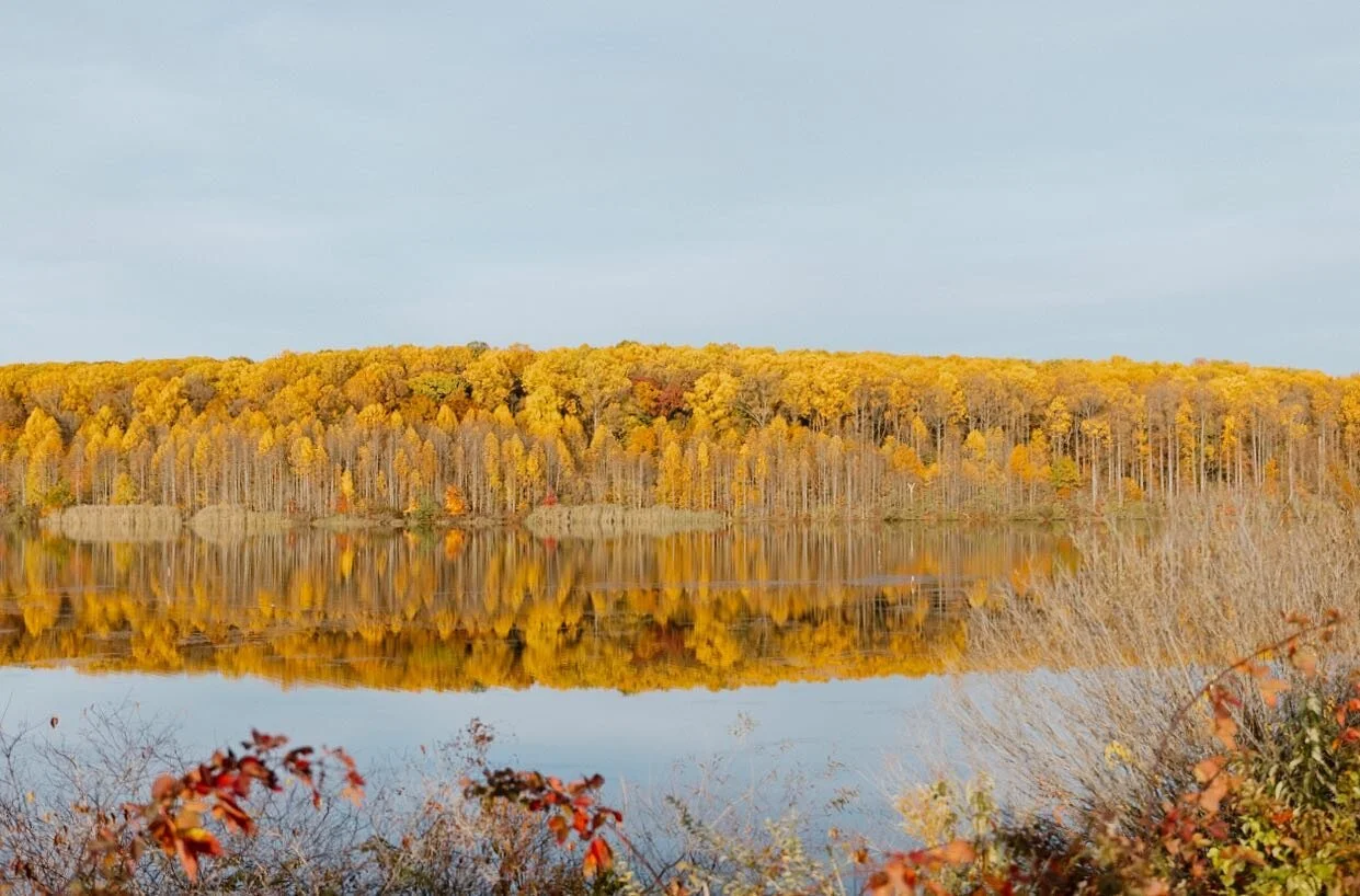 Fall in all its beauty!! 
I miss all the beautiful colors&hellip;

I took this shot while doing a family session at this location.. the sun and all the colors and the reflections in the water just get me every time this photo doesn&rsquo;t even do ju