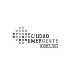 52.-Ciudad-Emergente.png