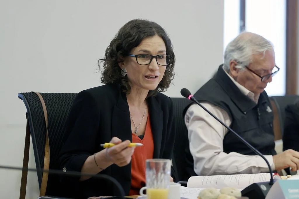 Carmen Soza, directora ejecutiva de Ideas Republicanas y encargada programática de la candidatura de José Antonio Kast