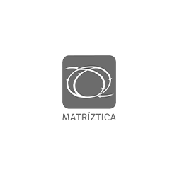13.-Matriztica.png