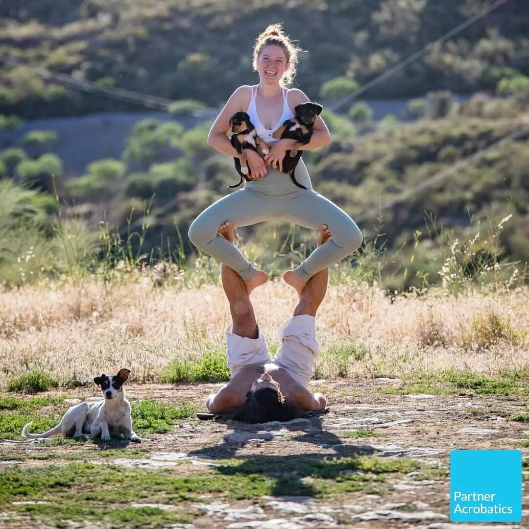 Puppies make acroyoga even better 😍

Captured by our favourite @movewithgabe at a 2-weeks-intensive training with @partneracrobatics in Spain. 

Their teacher training is coming up in August, in case you're interested 😉

-
-
_
_
_
_
_

#acroyoga #a