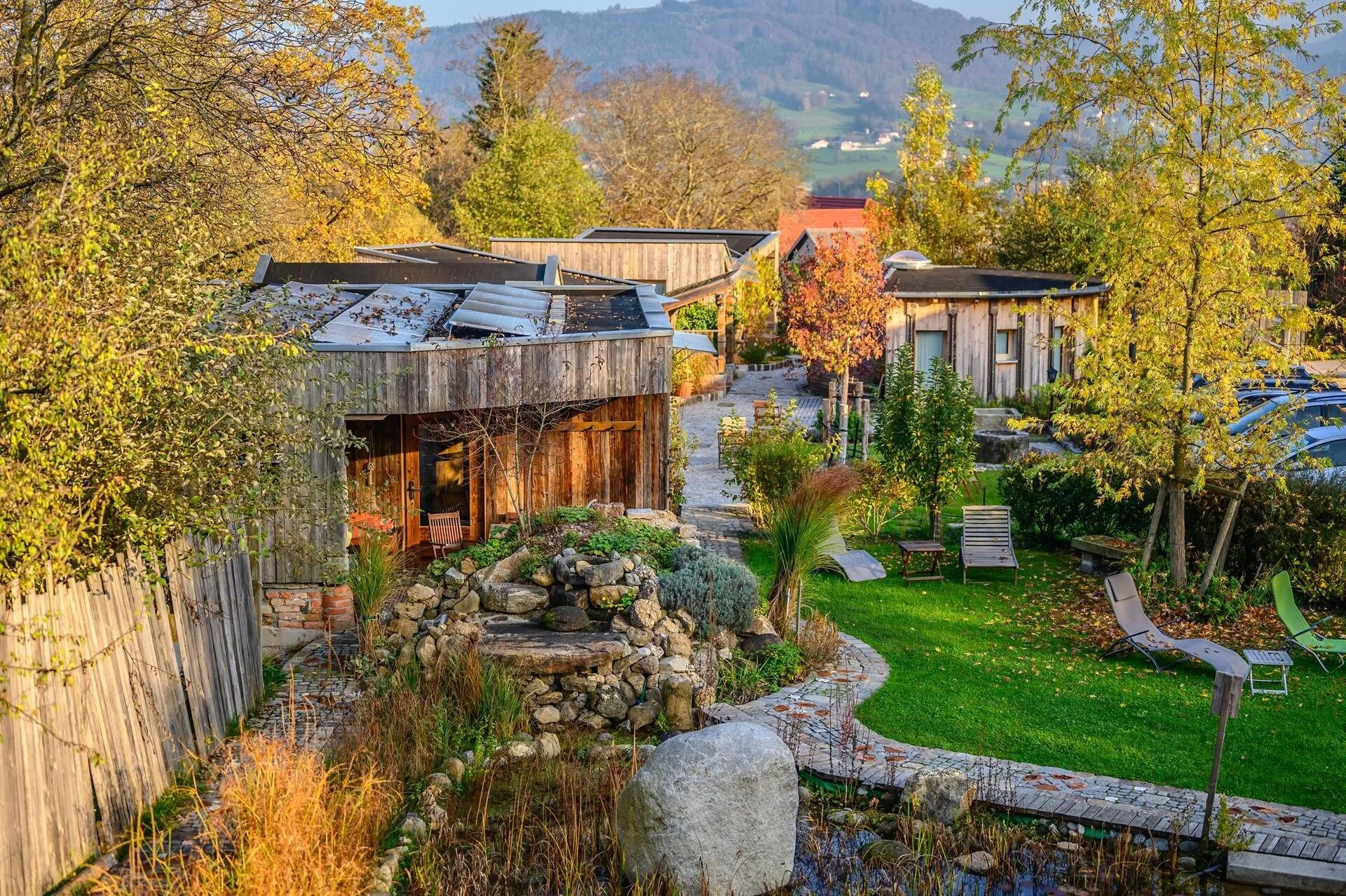 der Baum 682f58824e72f_image.jpg